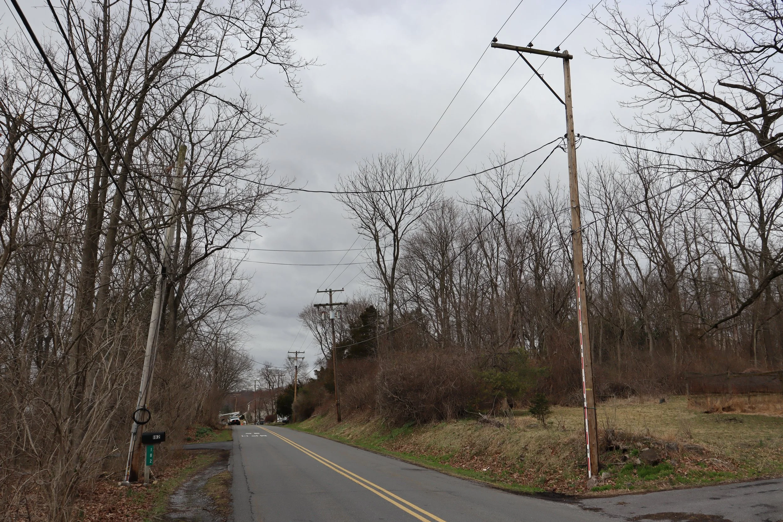 A rural road with utility poles and leafless trees on both sides, overcast sky.