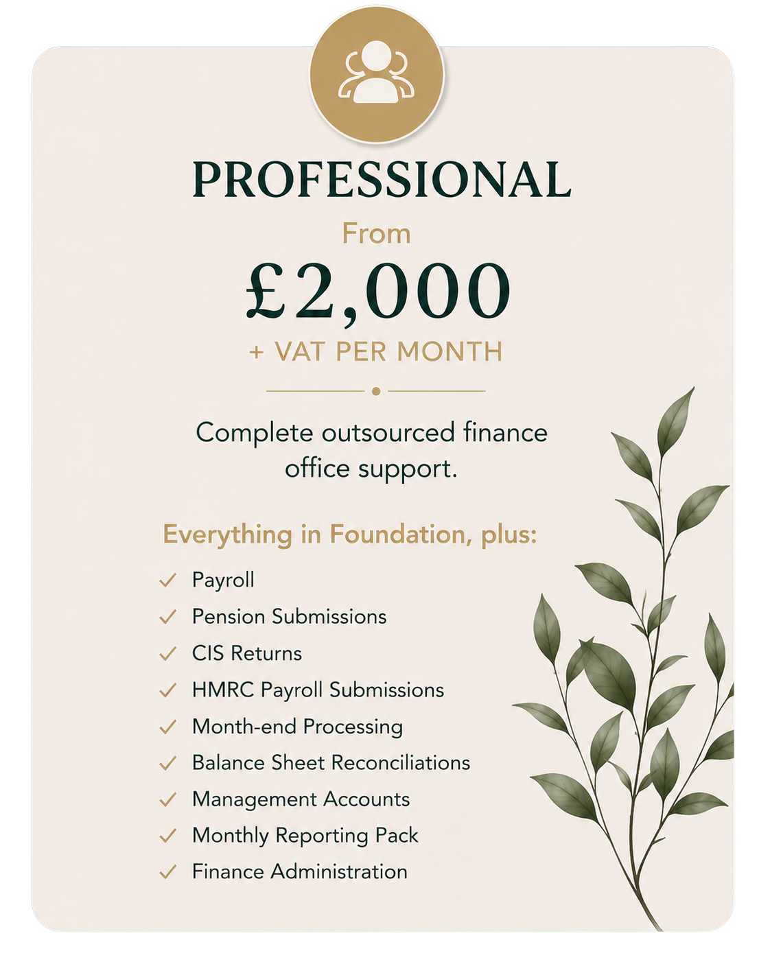 Promotional flyer for outsourced finance office support, starting at £2,000 per month, including payroll, pension submissions, CIS returns, HMRC submissions, month-end processing, balance sheet reconciliations, management accounts, monthly reporting, and finance administration, with a decorative plant on the right side.