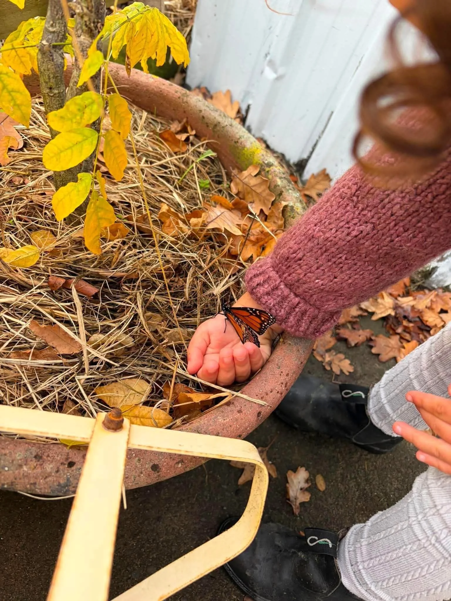Little Hands, Big Magic