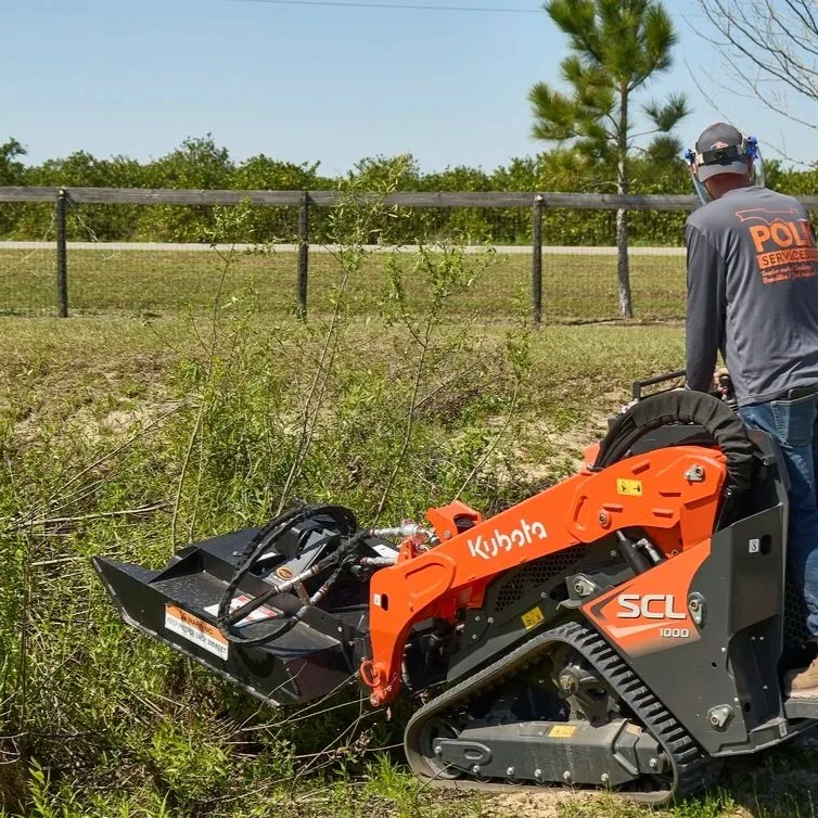 How a Simple Lot Clearing Can Turn a Jungle Into a Backyard Paradise
