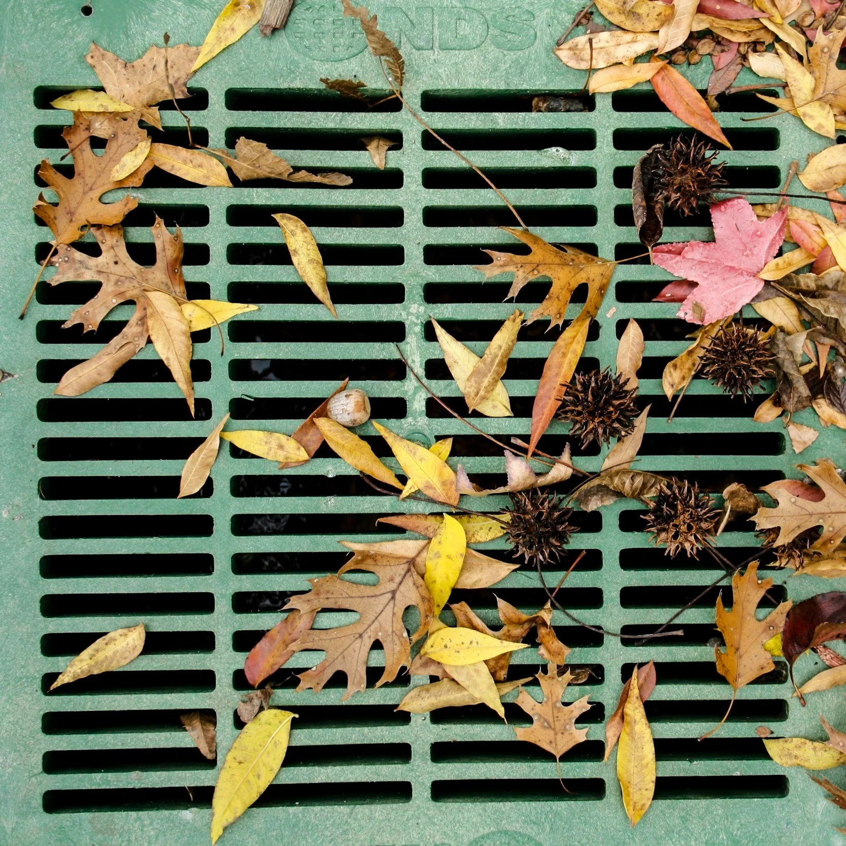 Innovations in Drainage Solutions and Why French Drains Are Still King