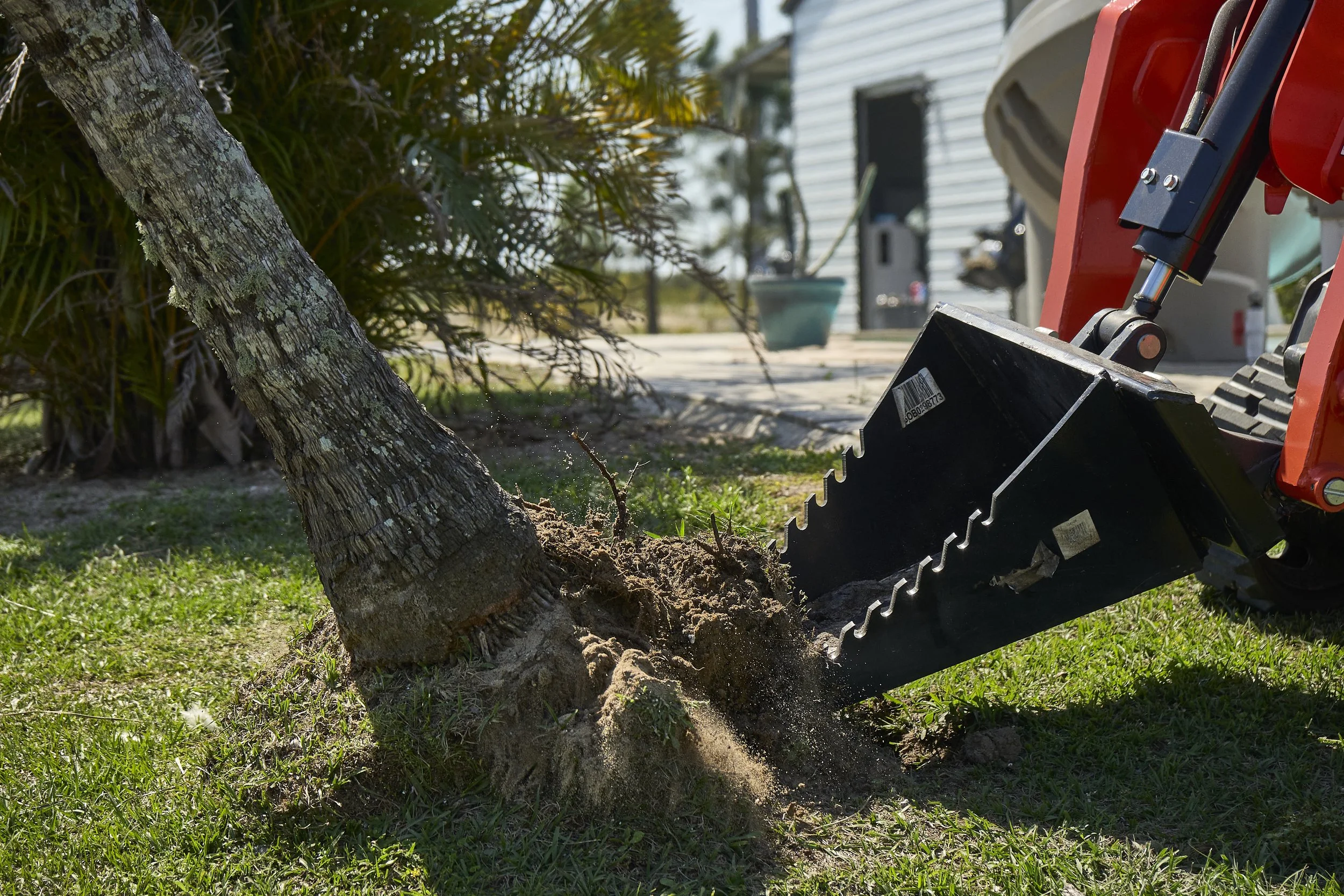 The Essential Guide to Professional Stump Removal Services