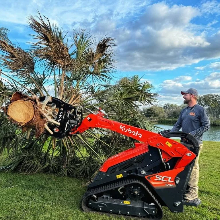 Types of Landscape Removal Services That Restore Property Ambiance