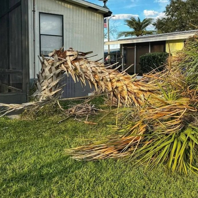 Why Small Businesses That Specialize in Stump Grinding Make a Big Difference