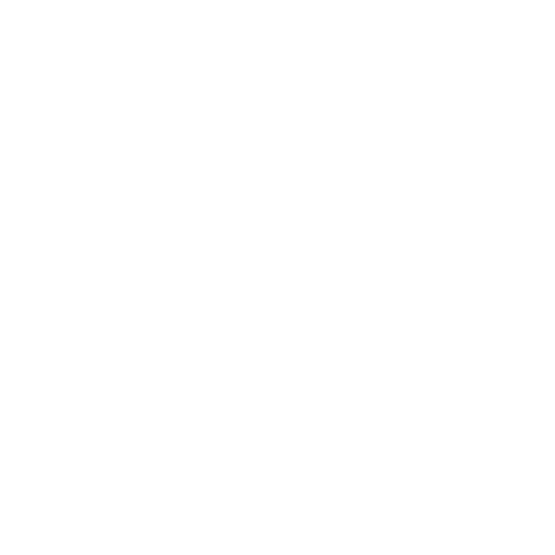Polk Services LLC