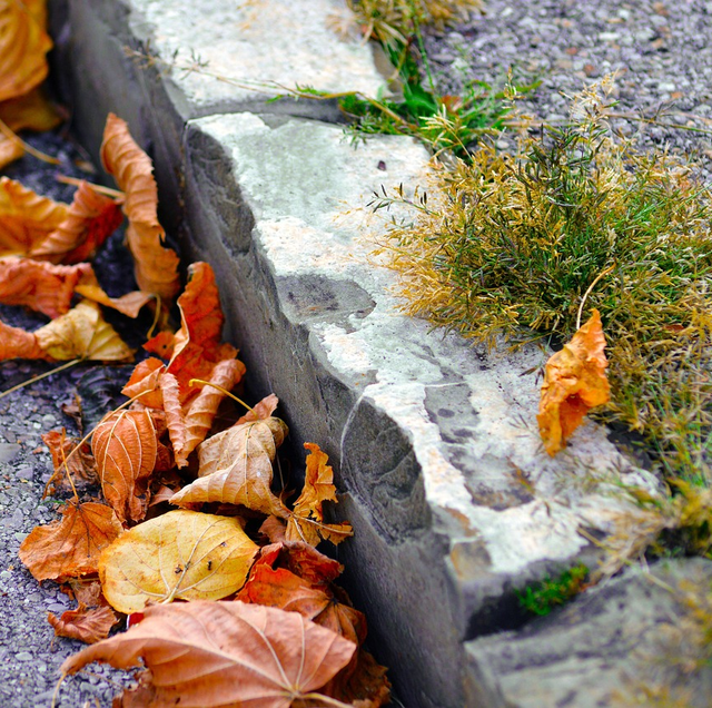 weathered steel edging holding gravel driveway border
