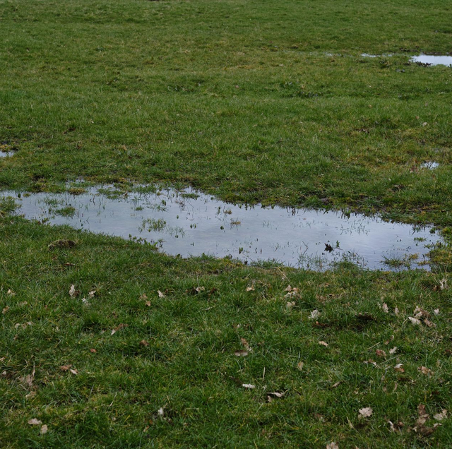 backyard ponding water after heavy rain