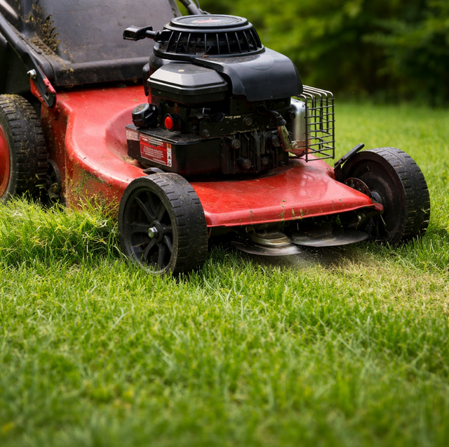 lawn mower scalp mark on raised root flare