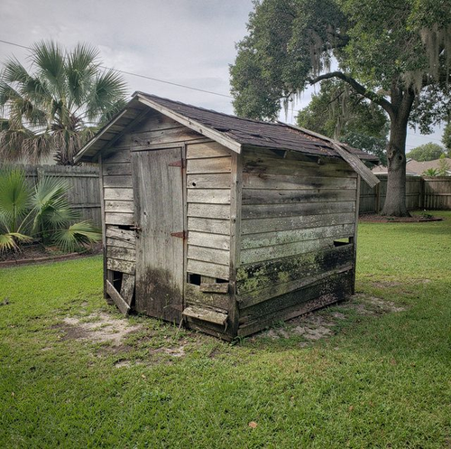 rotted backyard shed with sagging roof and leaning frame