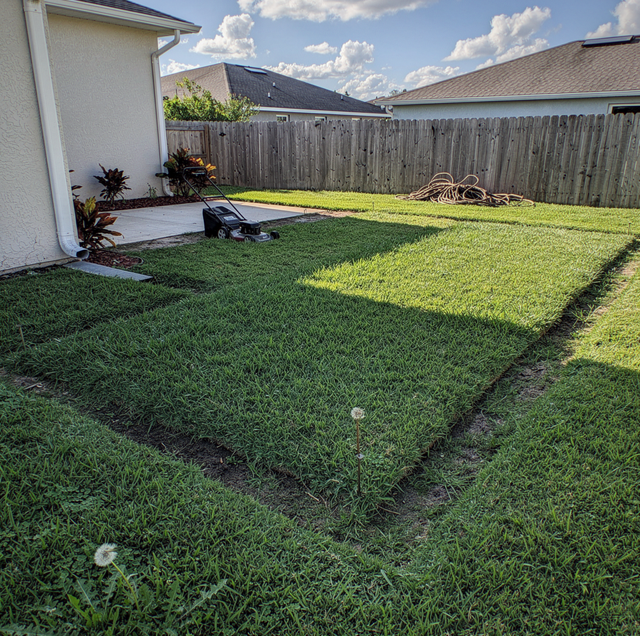 shallow sunken rectangle of grass in backyard