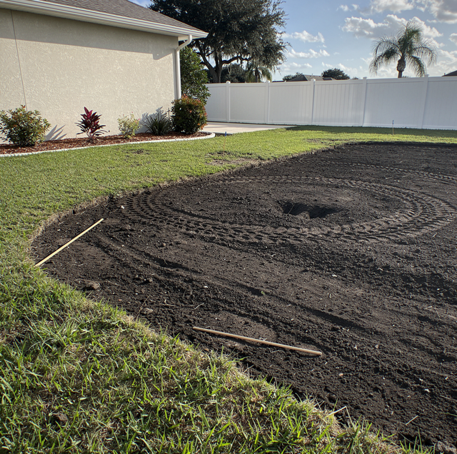 shallow root system over filled pool cavity