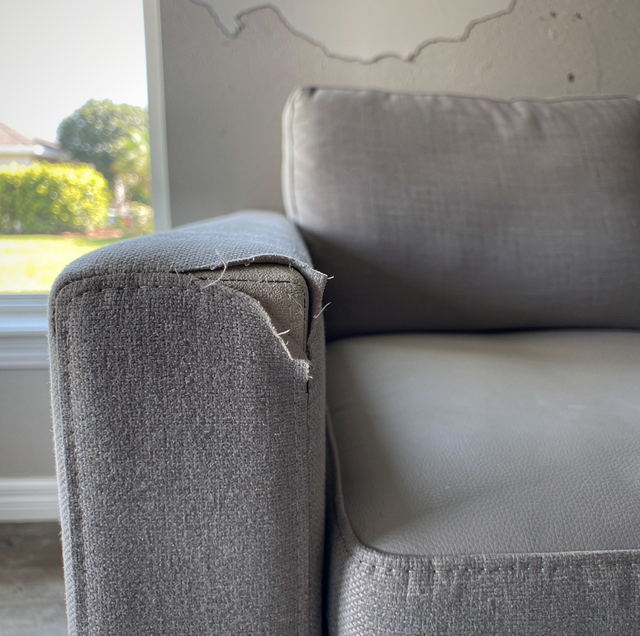 Gray upholstered chair with torn fabric on the armrest, positioned near a window with a tree visible outside.