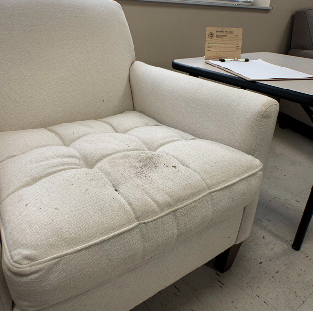 crouched intake inspector sniffing upholstered couch cushion