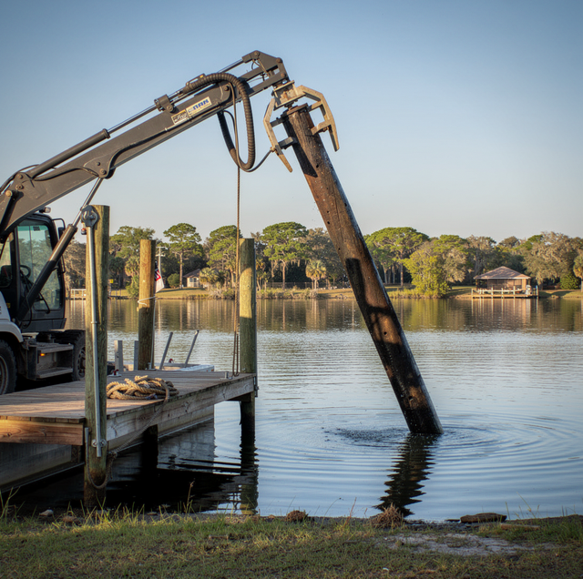 sunken wooden dock pilings cut near lakebed underwater