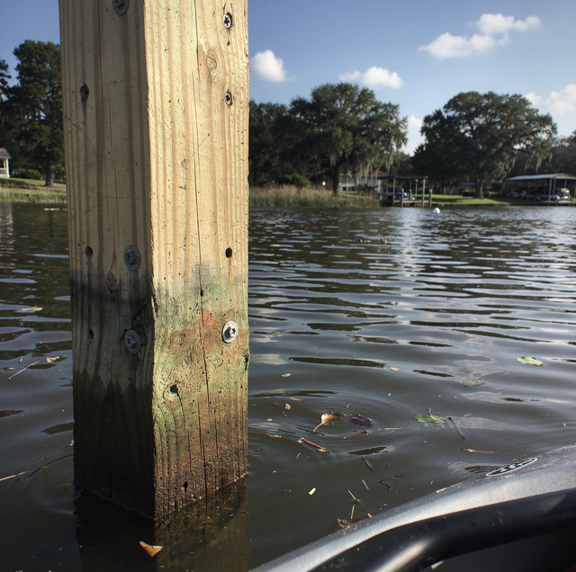 Weathered wooden dock pilings over calm freshwater lake
