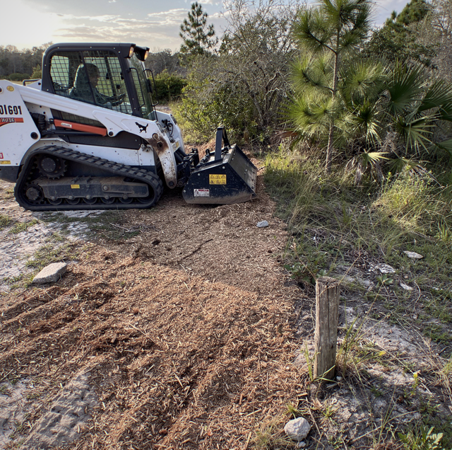 A white tracked loader with a bucket attachment sits on dirt ground surrounded by palm trees and vegetation.