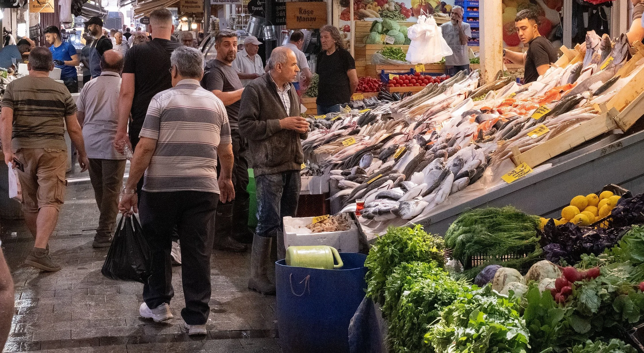 Vegetarian or Omnivore: Which Diet Is Better for Healthy Ageing?