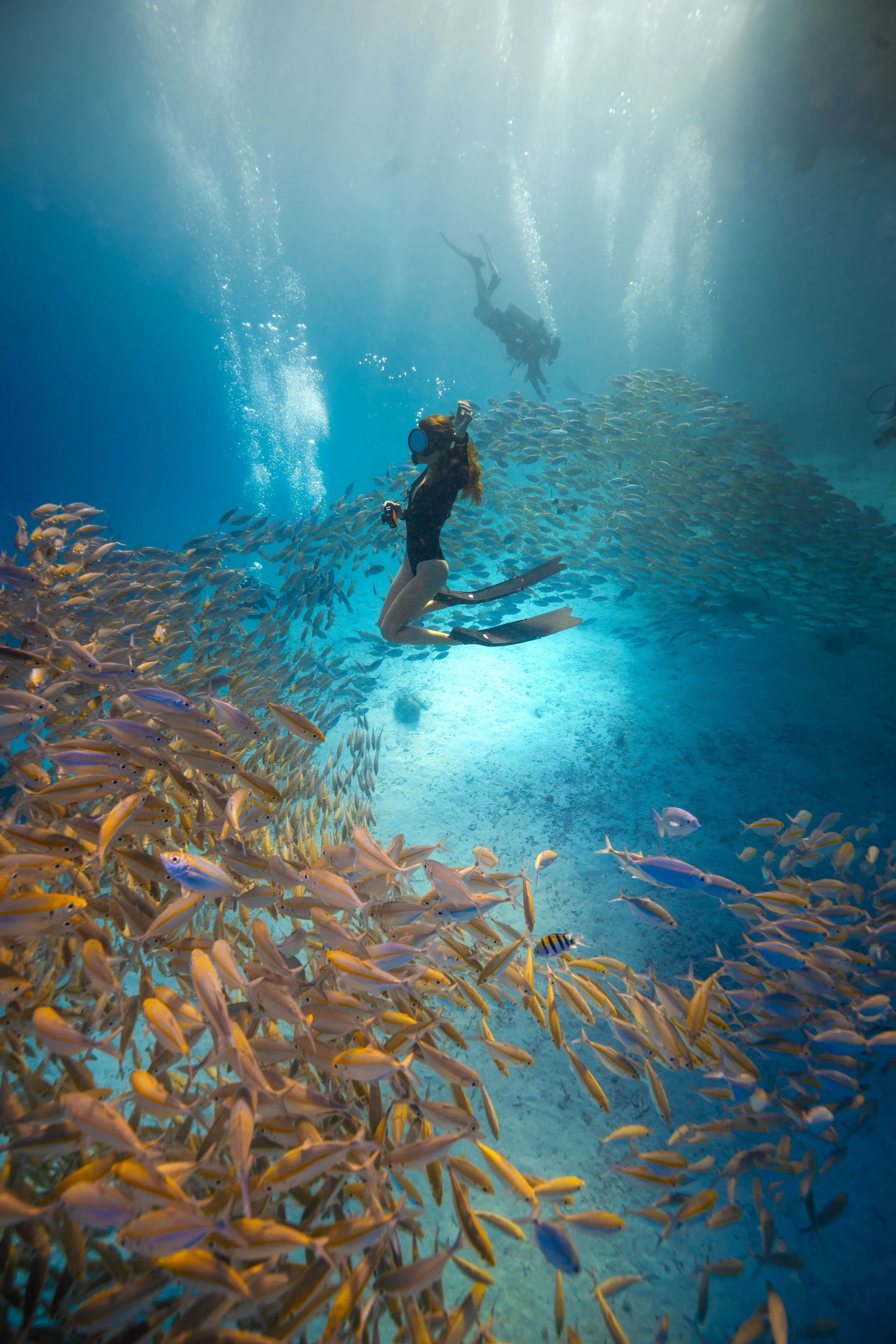 Freediving at Racha Yai Island, Phuket
