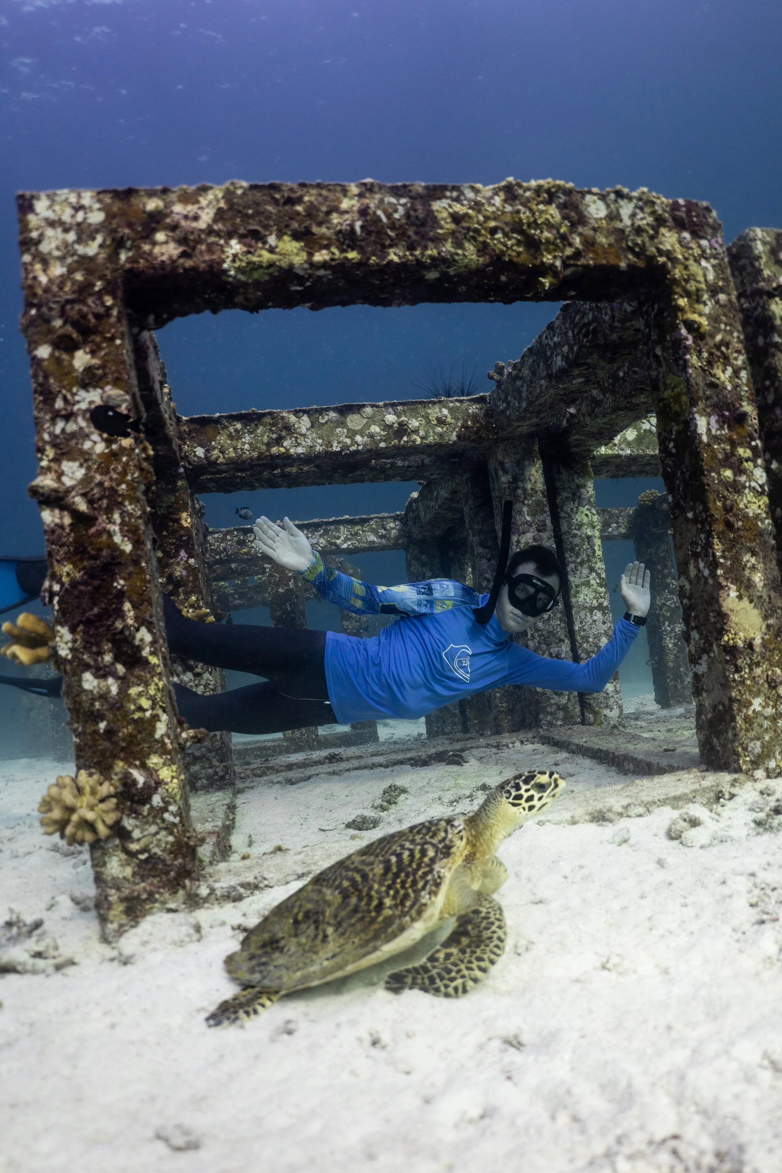 An underwater scene with a person in scuba gear posing with arms outstretched under a rusted, algae-covered structure, and two leopard geckos on the sandy ocean floor.
