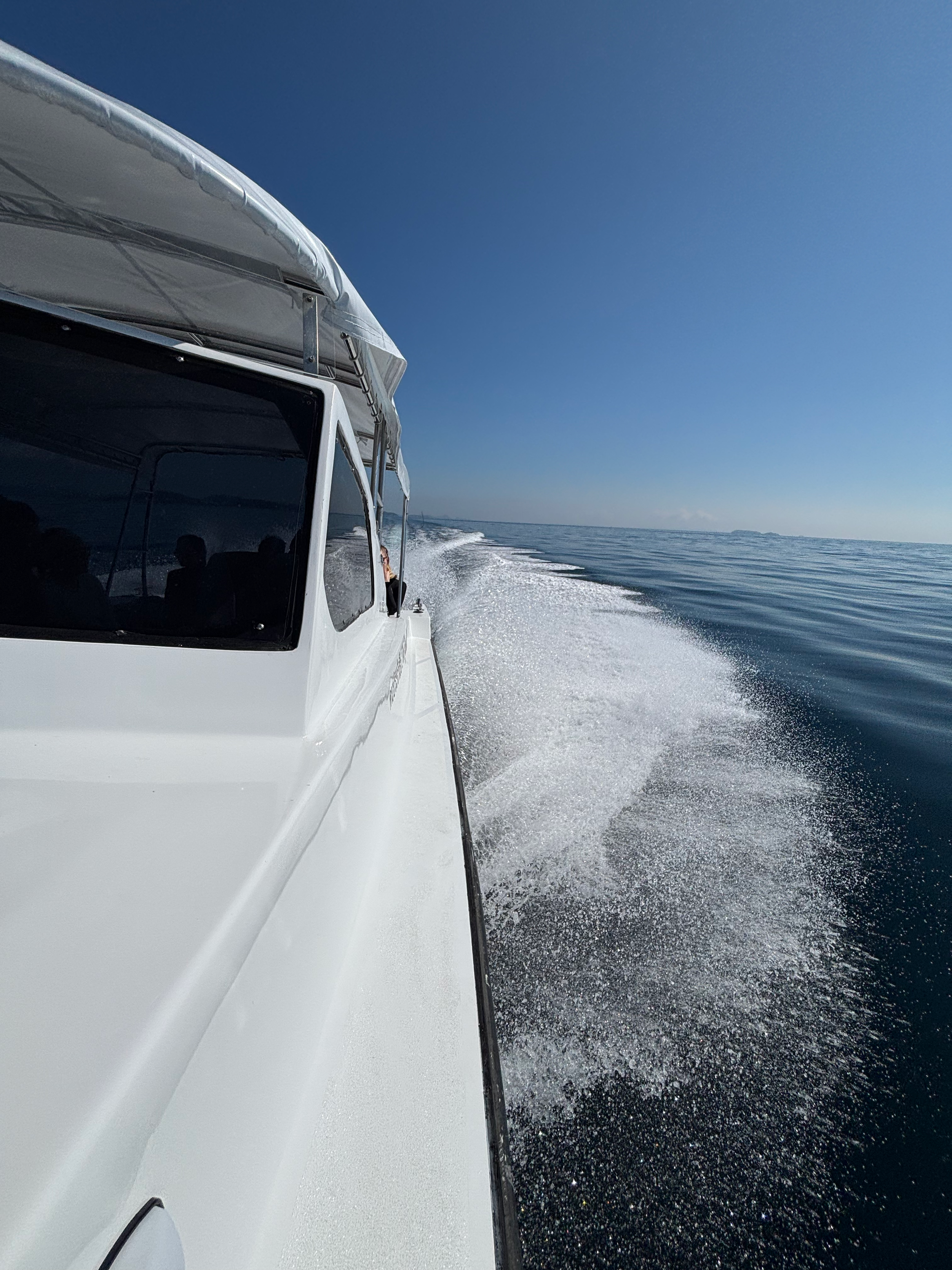 View from a white boat moving through calm water with a clear blue sky above, and a distant shoreline on the horizon.