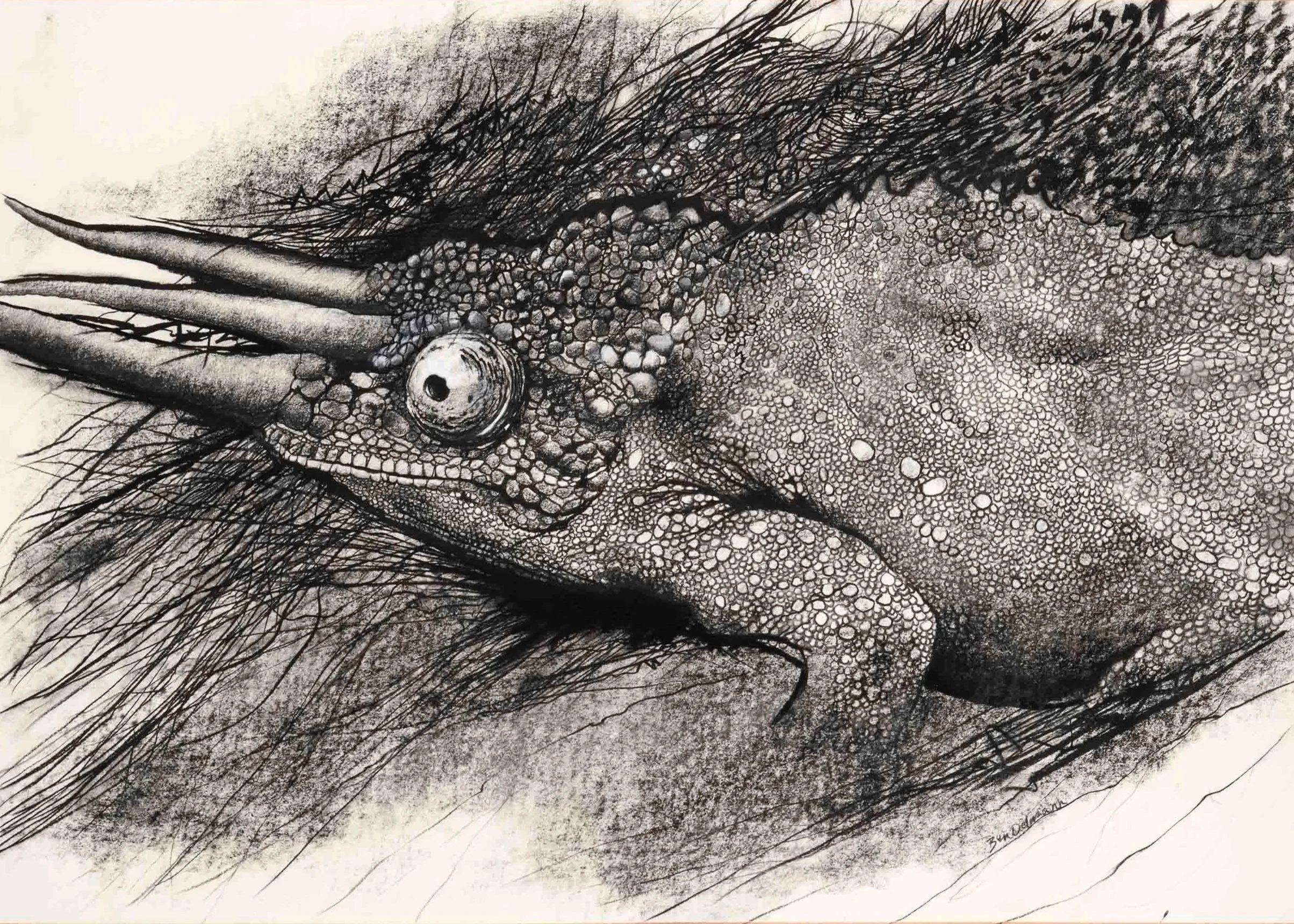Chameleon, Graphite, charcoal and chalk. 104x83cm (framed)