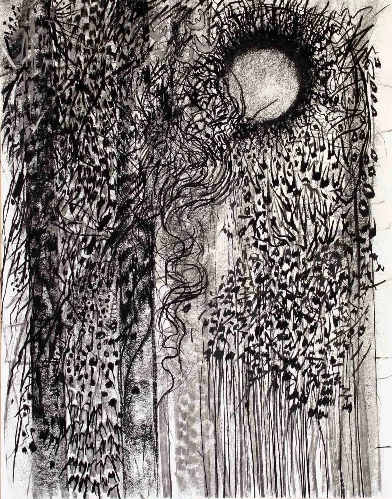 Kakamega Forest Charcoal and chalk