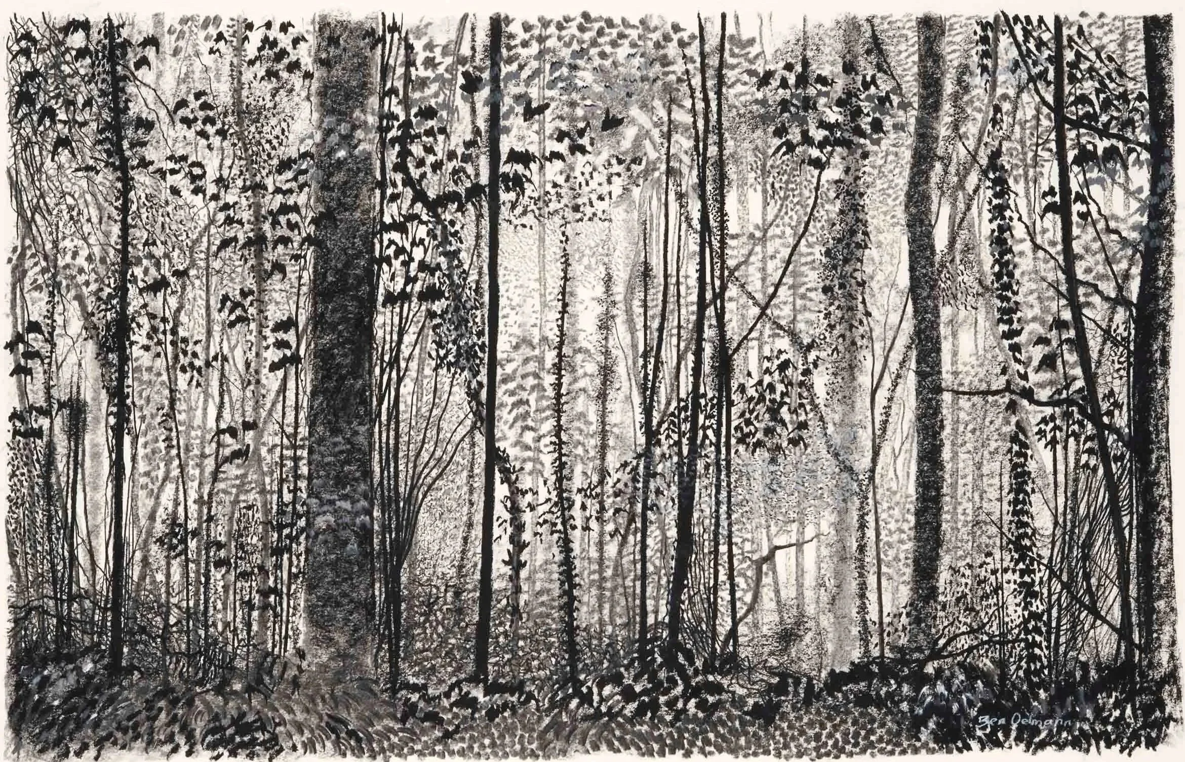 Conkwell woods 4  Charcoal and Graphite  105 x 71cm (sold)