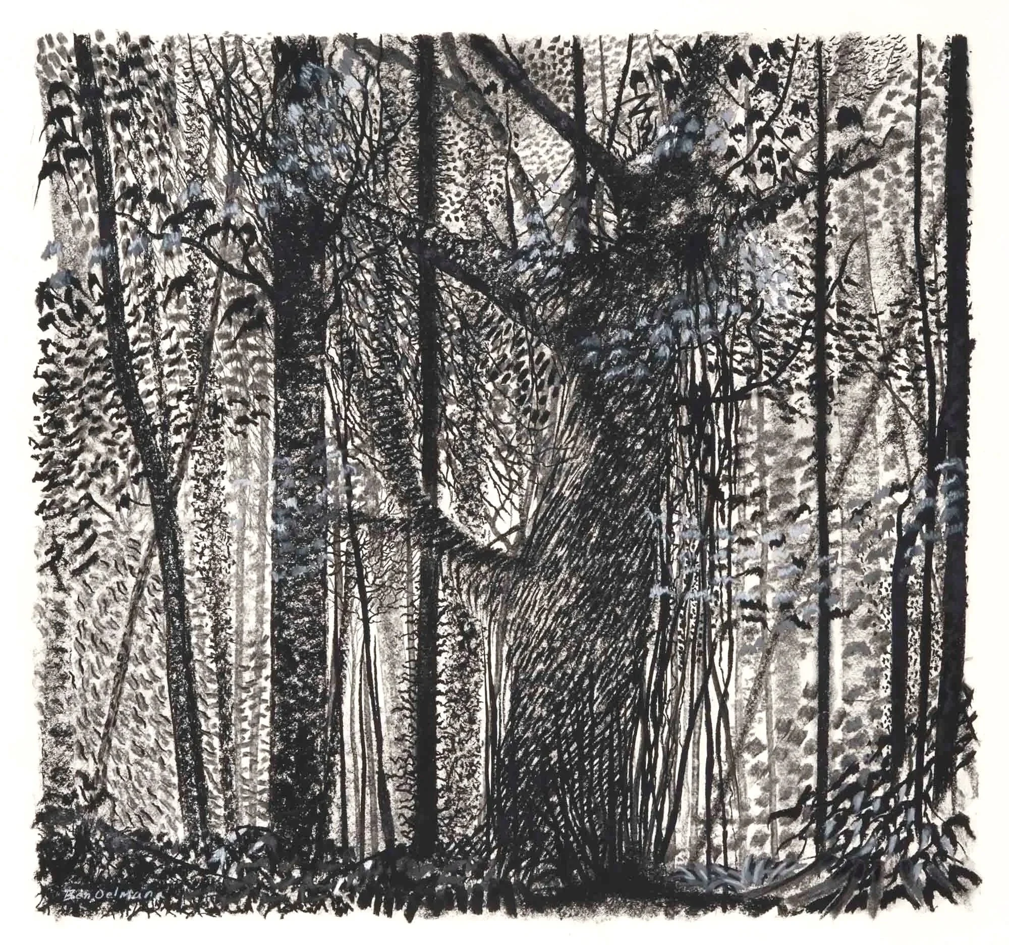Conkwell Woods 3  Charcoal and Graphite