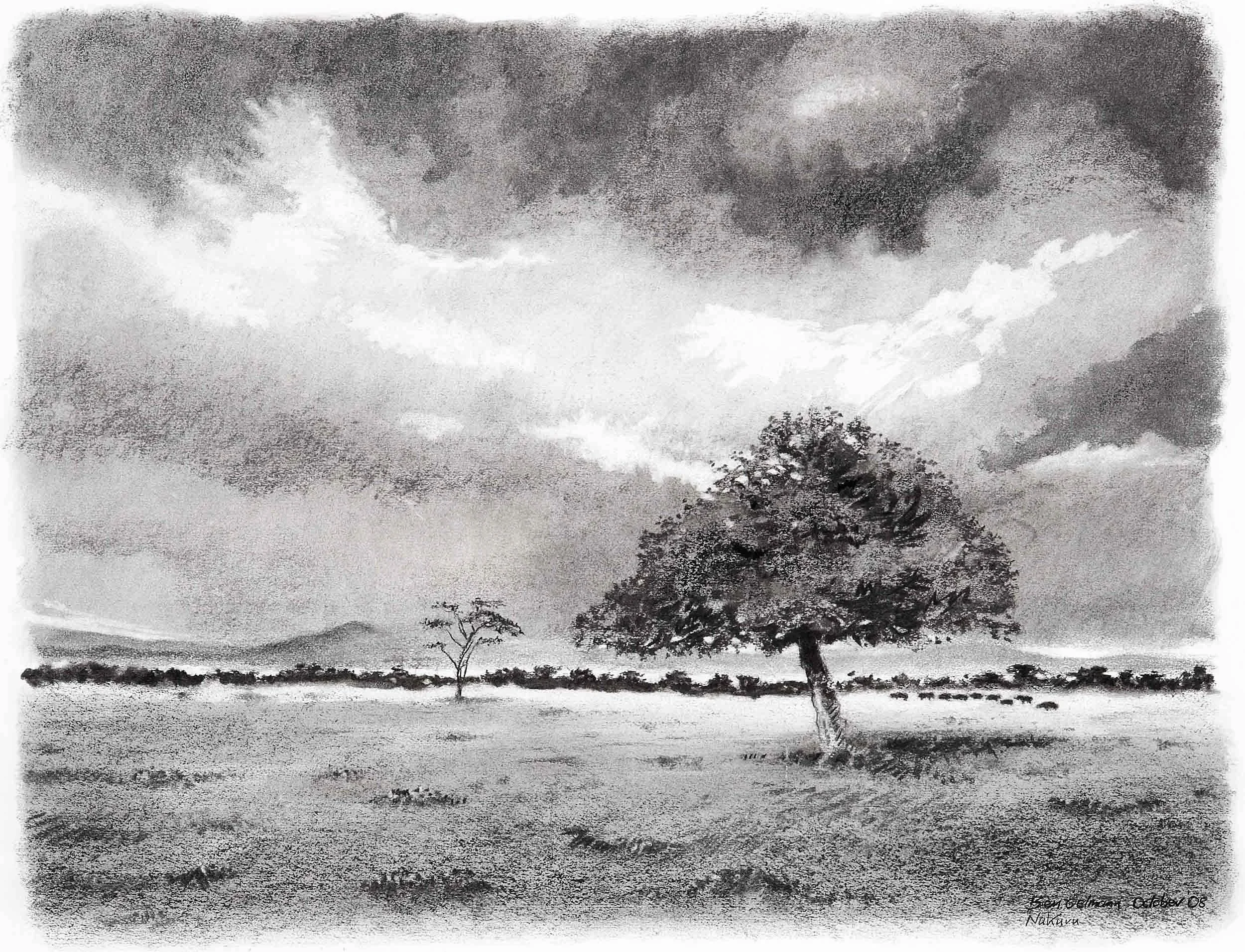 Storm over Nakuru, Kenya Charcoal and chalk  86 x 69cm (framed)
