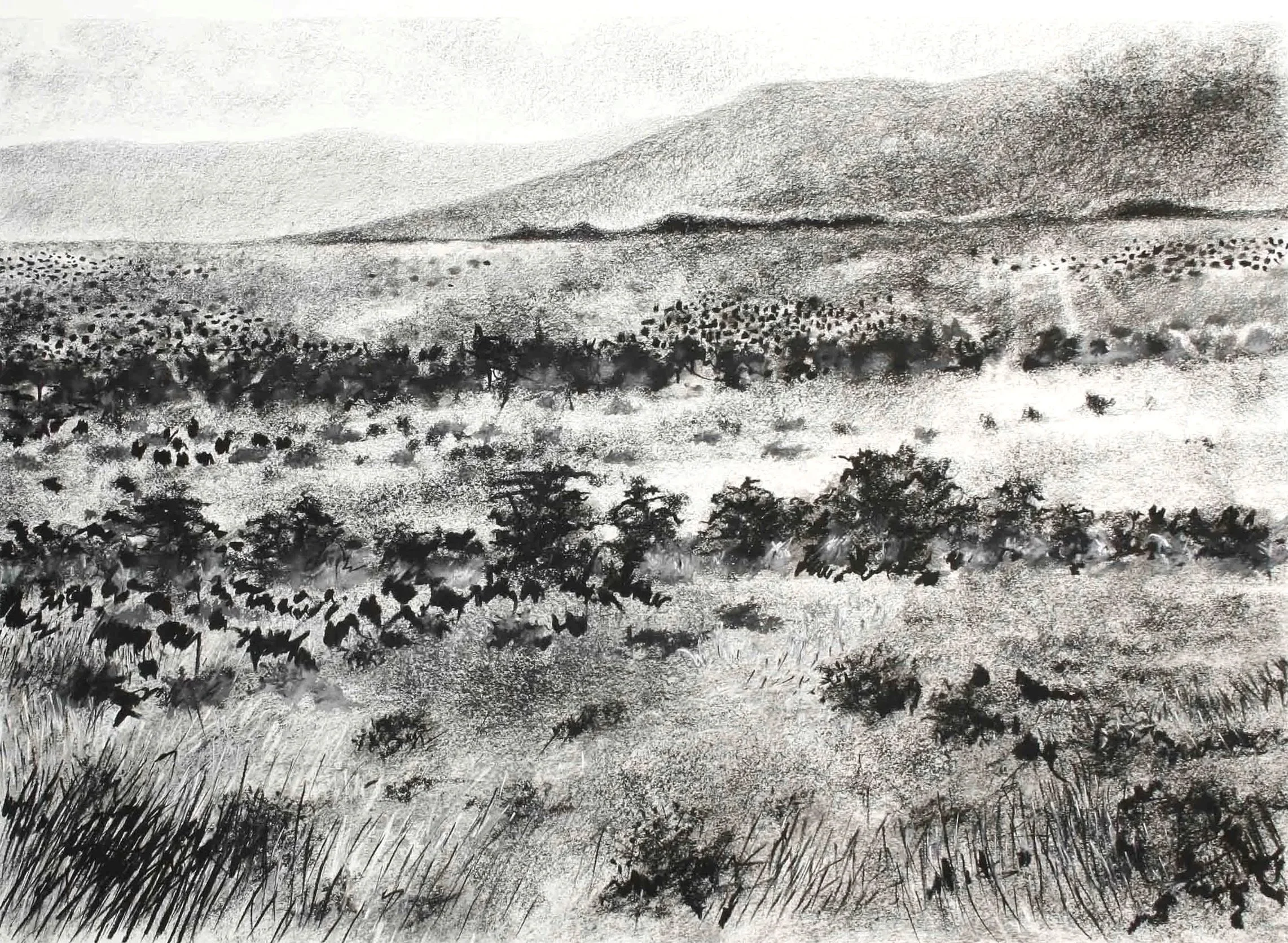 Mara study
