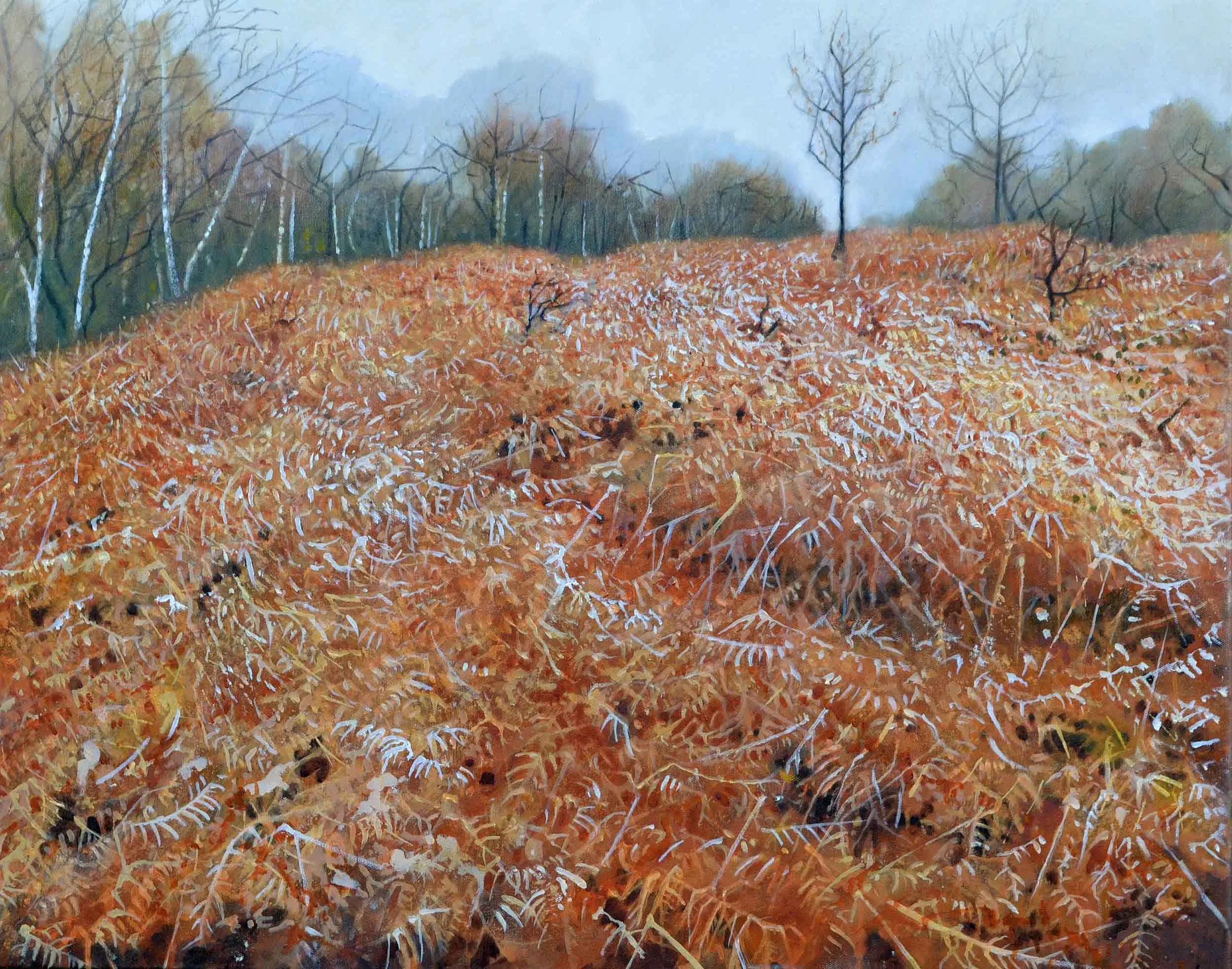 Bracken. 76 x 60cm  Oil on canvas
