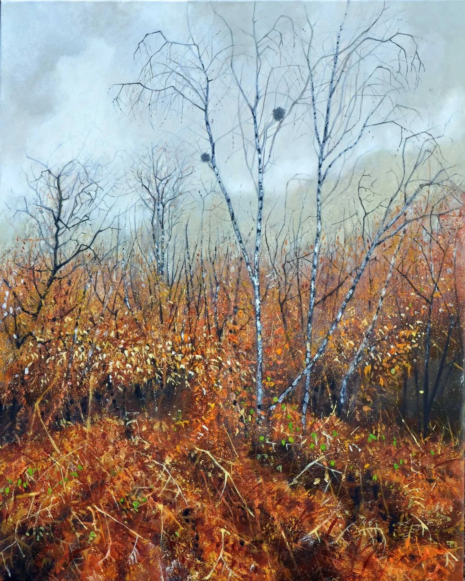 Bracken with Birches  60 x 76cm  Oil on canvas