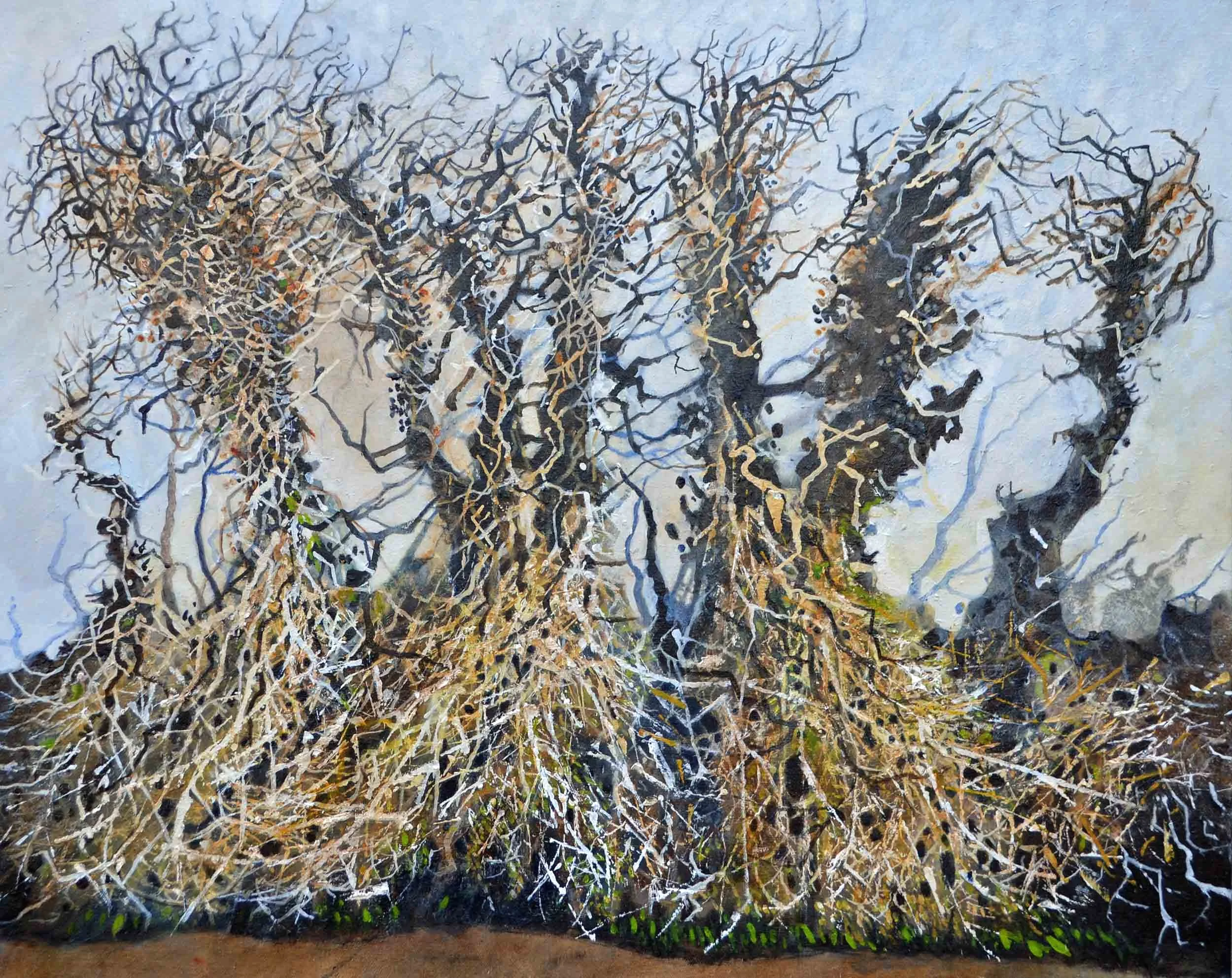 Bowcombe Creek, Salcombe. Oil on canvas. 76x60cm