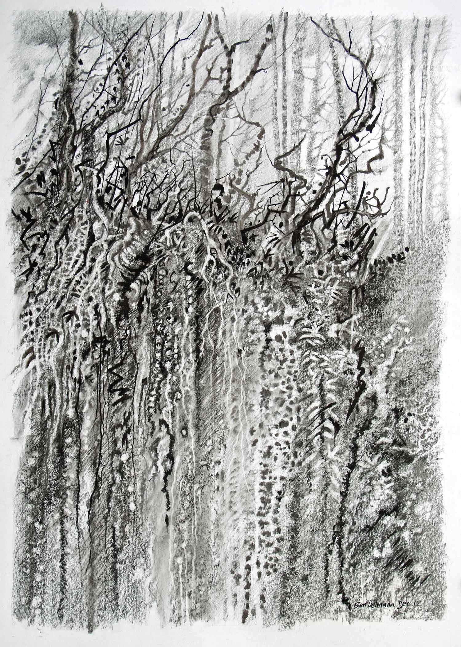 Hanging roots. Charcoal and graphite  96 x 70cm