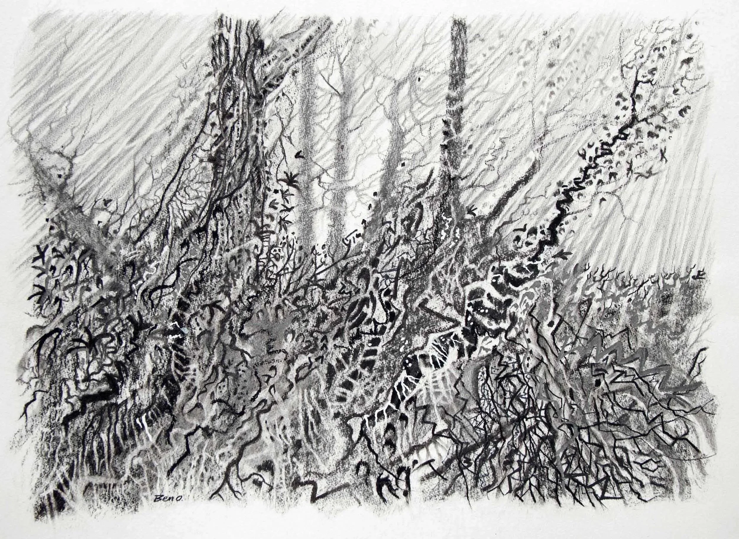 Hedge study, Charcoal and graphite. 75 x 56cm (mounted)