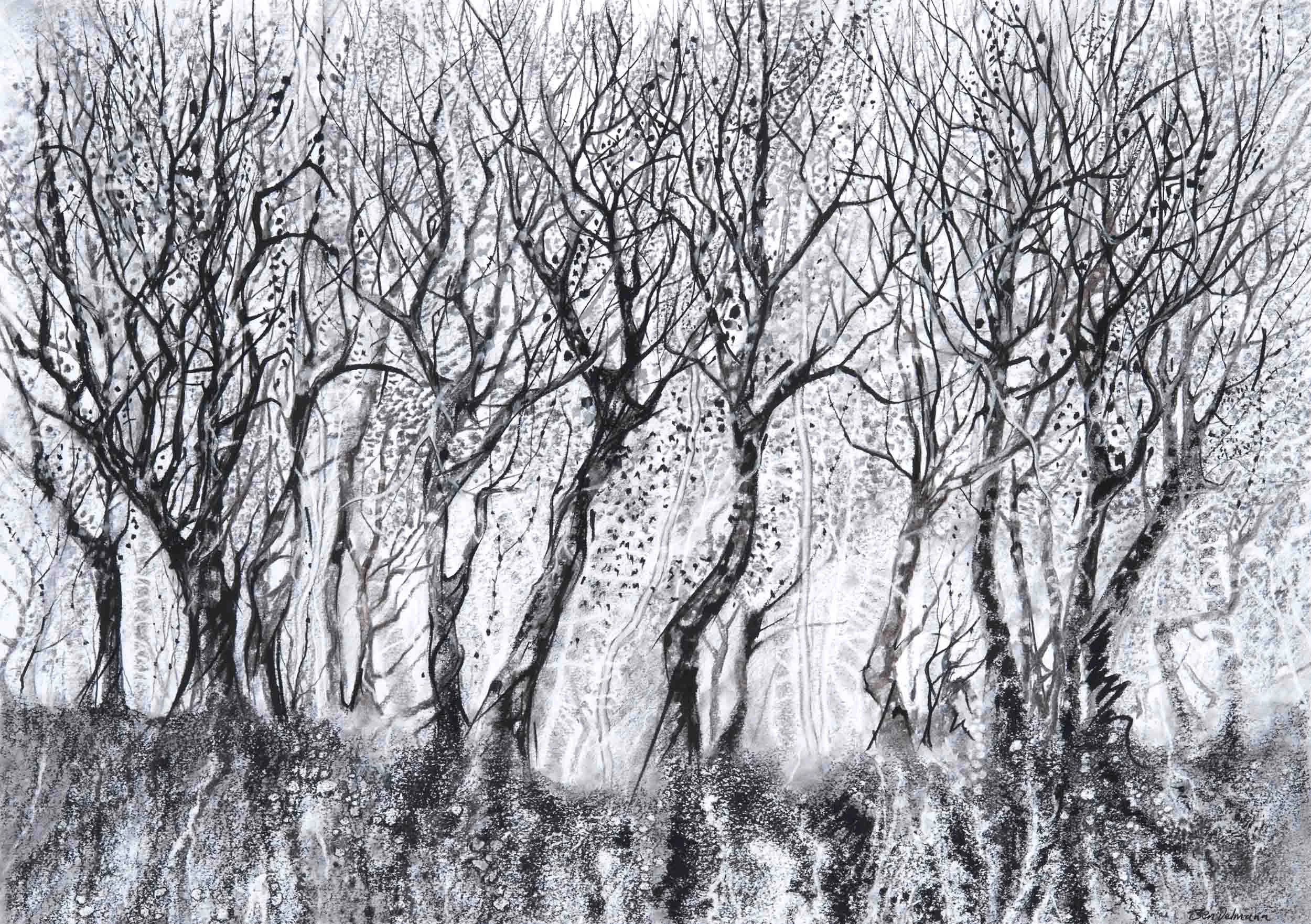 Woodleigh bank Charcoal and graphite. 98 x 79cm