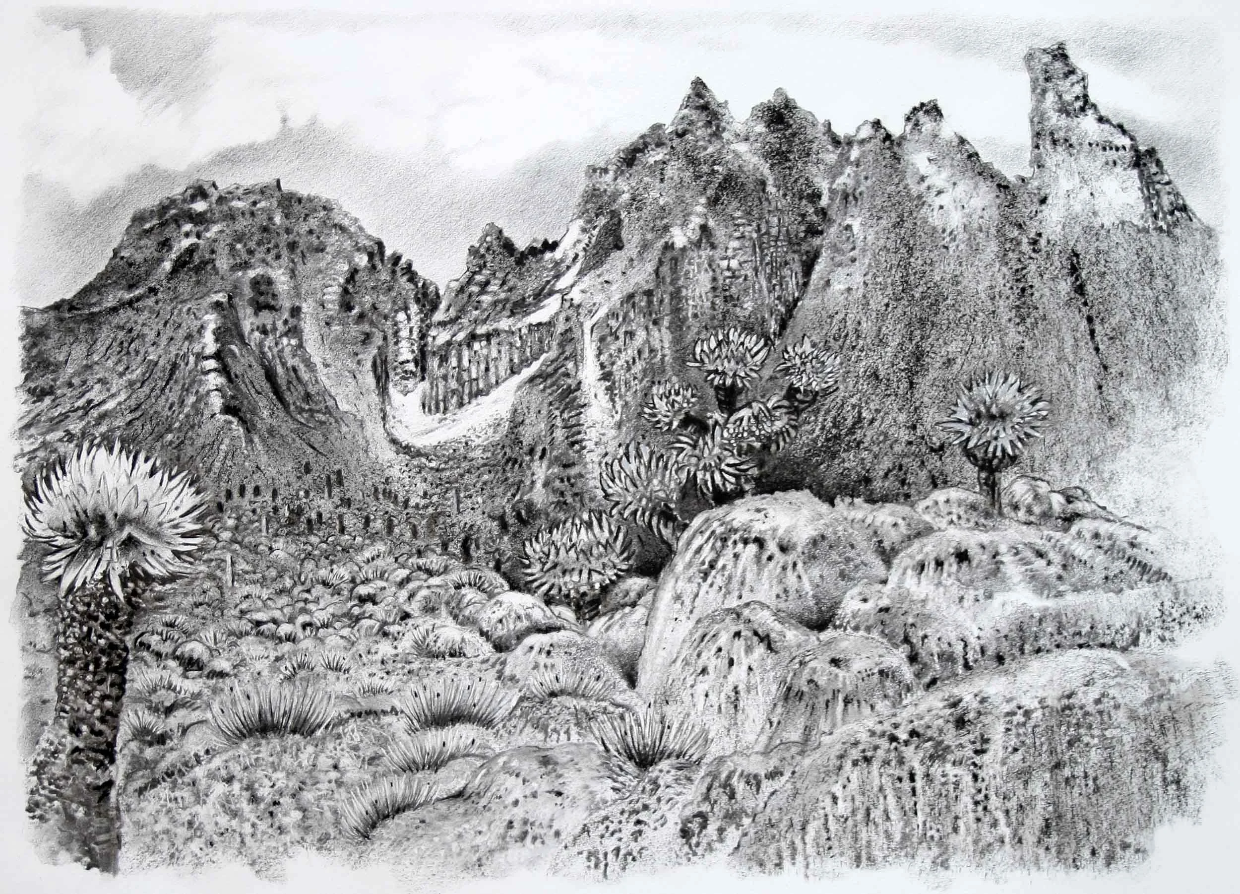 Mount Kenya, Charcoal and graphite