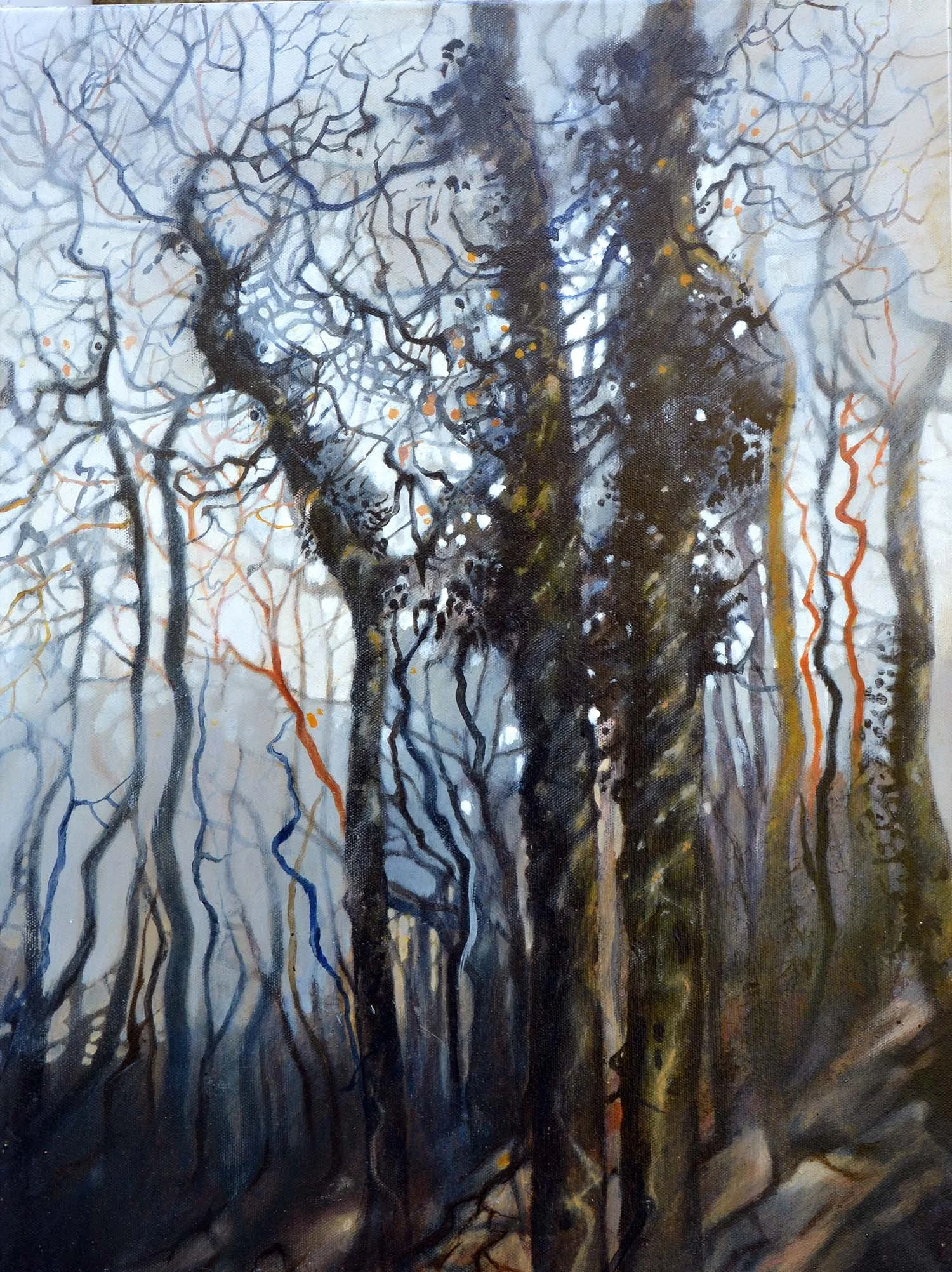 Three Trees    46 x 61cm Oil on Canvas