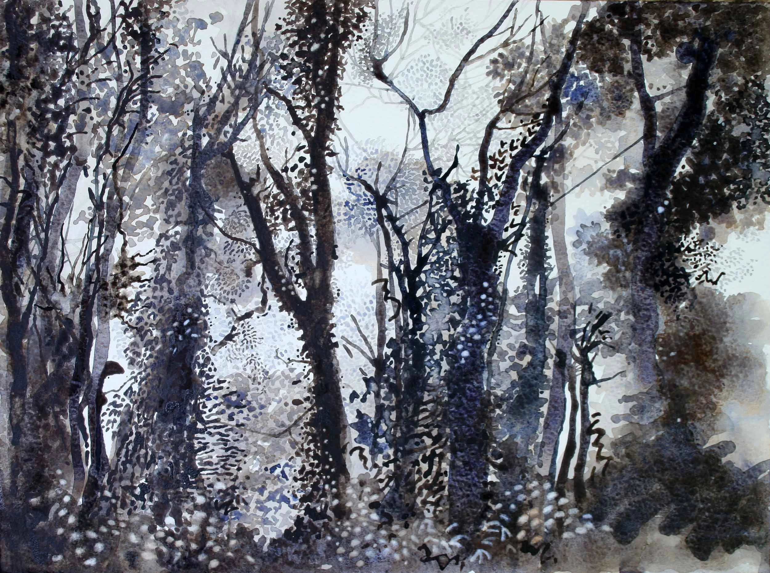 Kakamega, Ink on paper