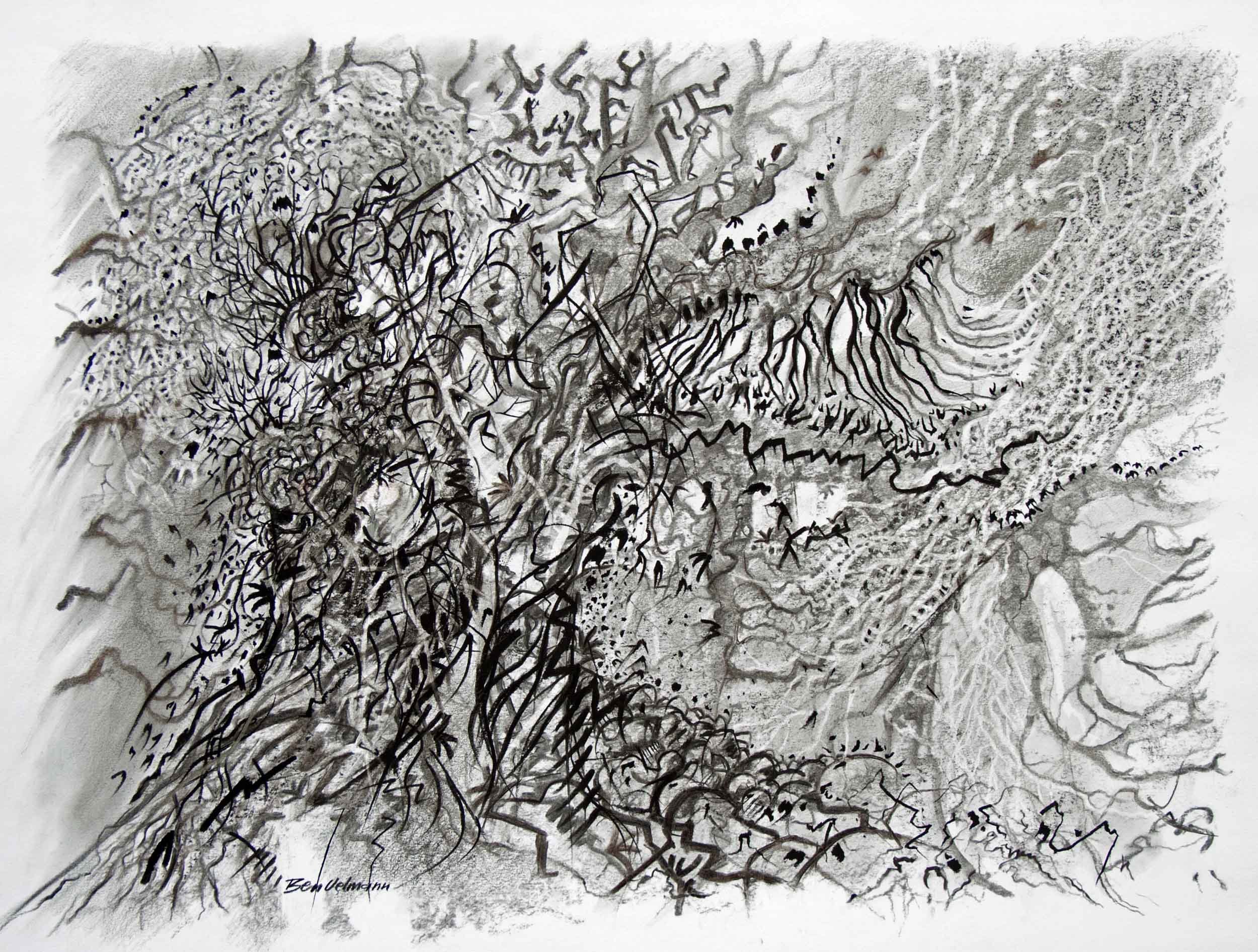 Treescape 4  Charcoal and graphite  75x60cm (mounted)
