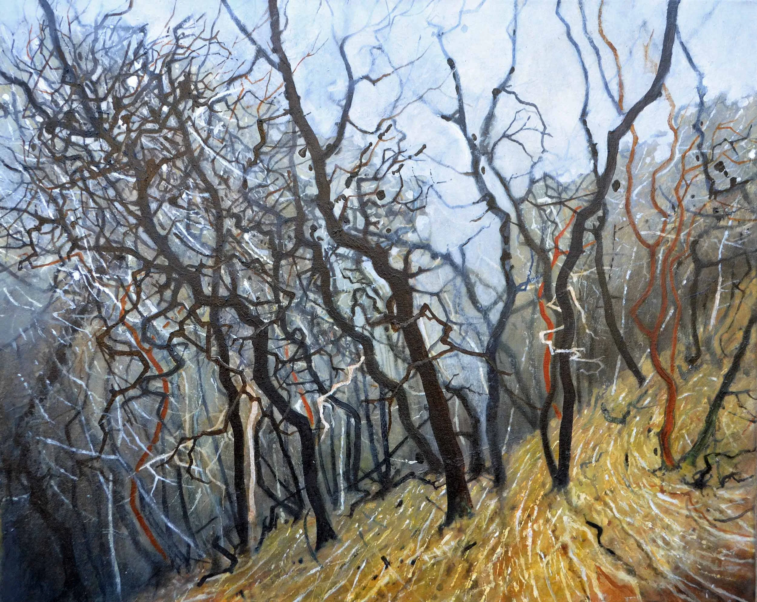 Teign Valley Dartmoor  Oil on canvas  76x60cm