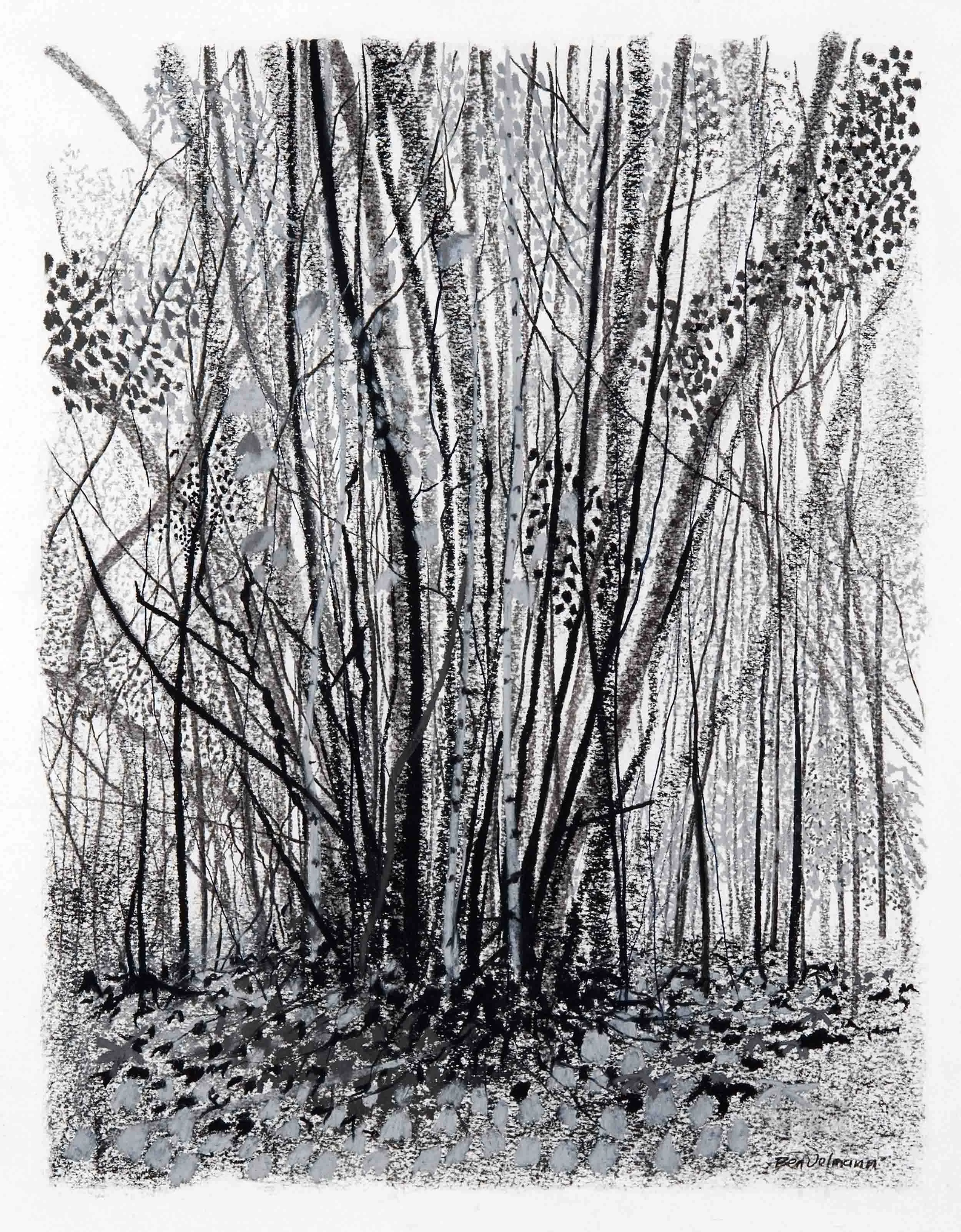 Hazel Study Charcoal and graphite. 76x62cm (mounted)