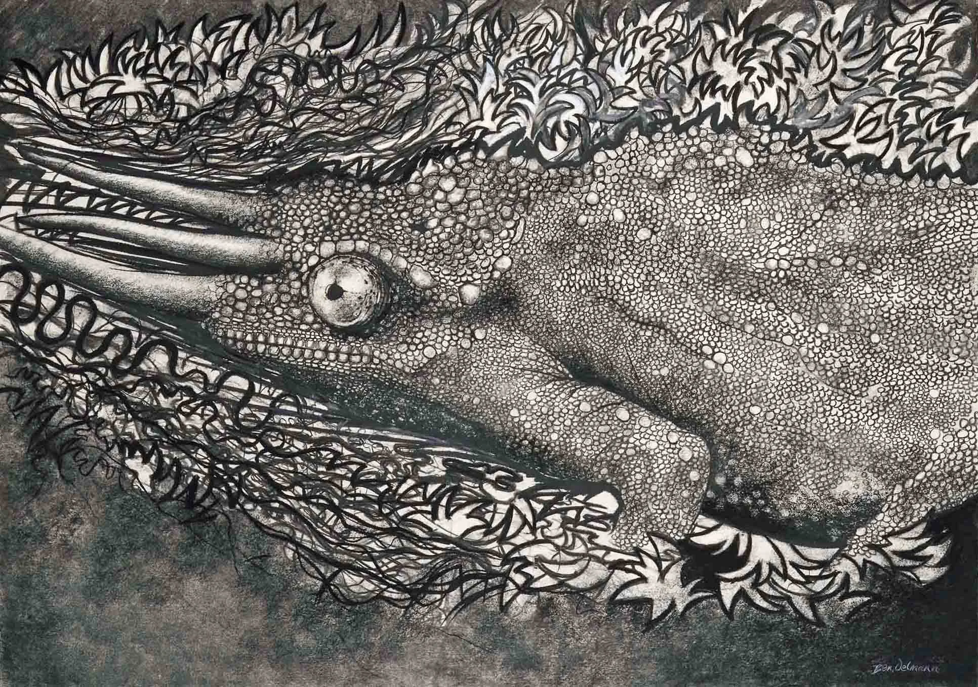 Chameleon 2,  Charcoal and graphite. 104 x 83cm