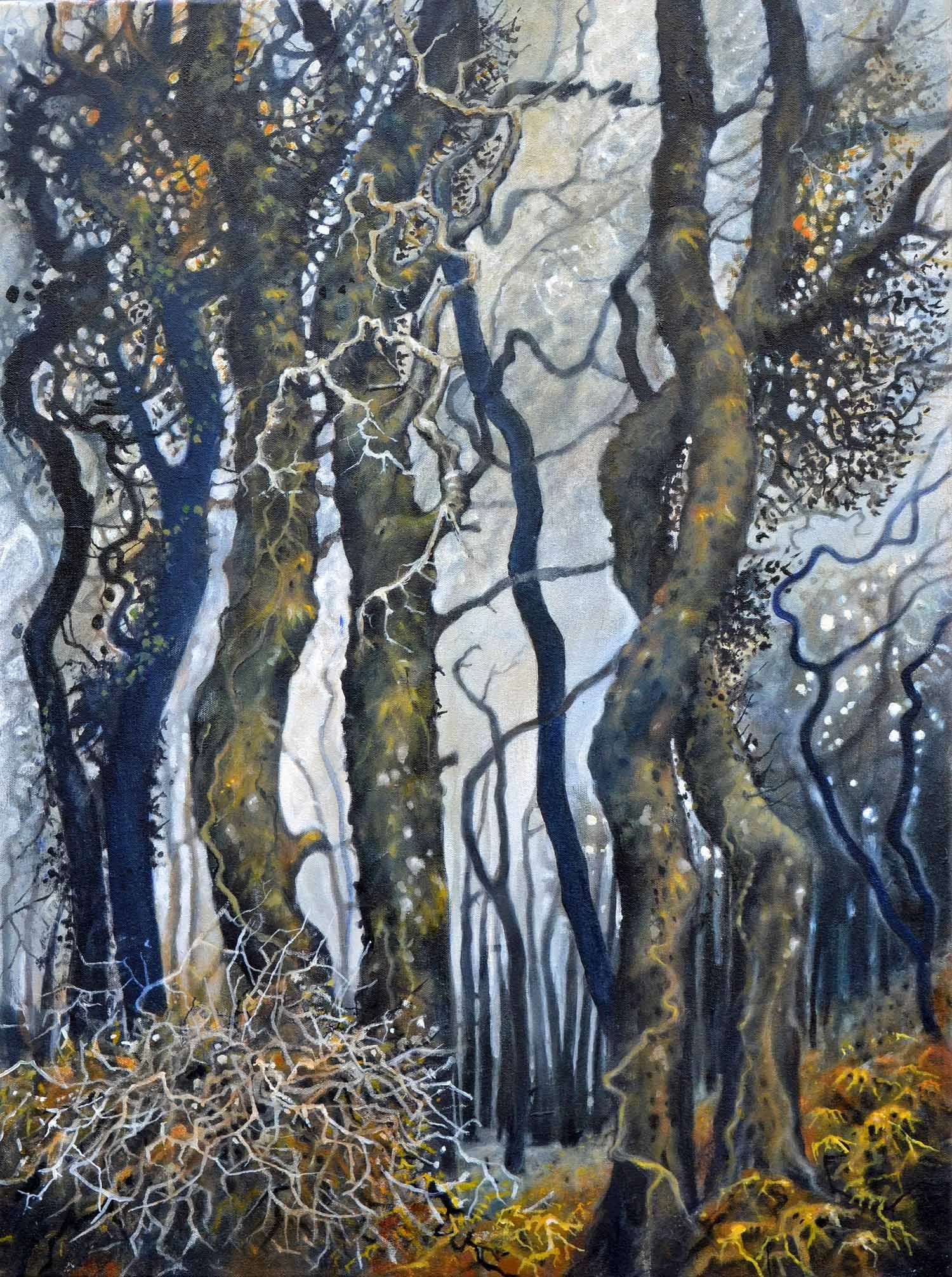 Golden wood 4 oaks Dartmoor. 60 x 80cm. Oil on canvas