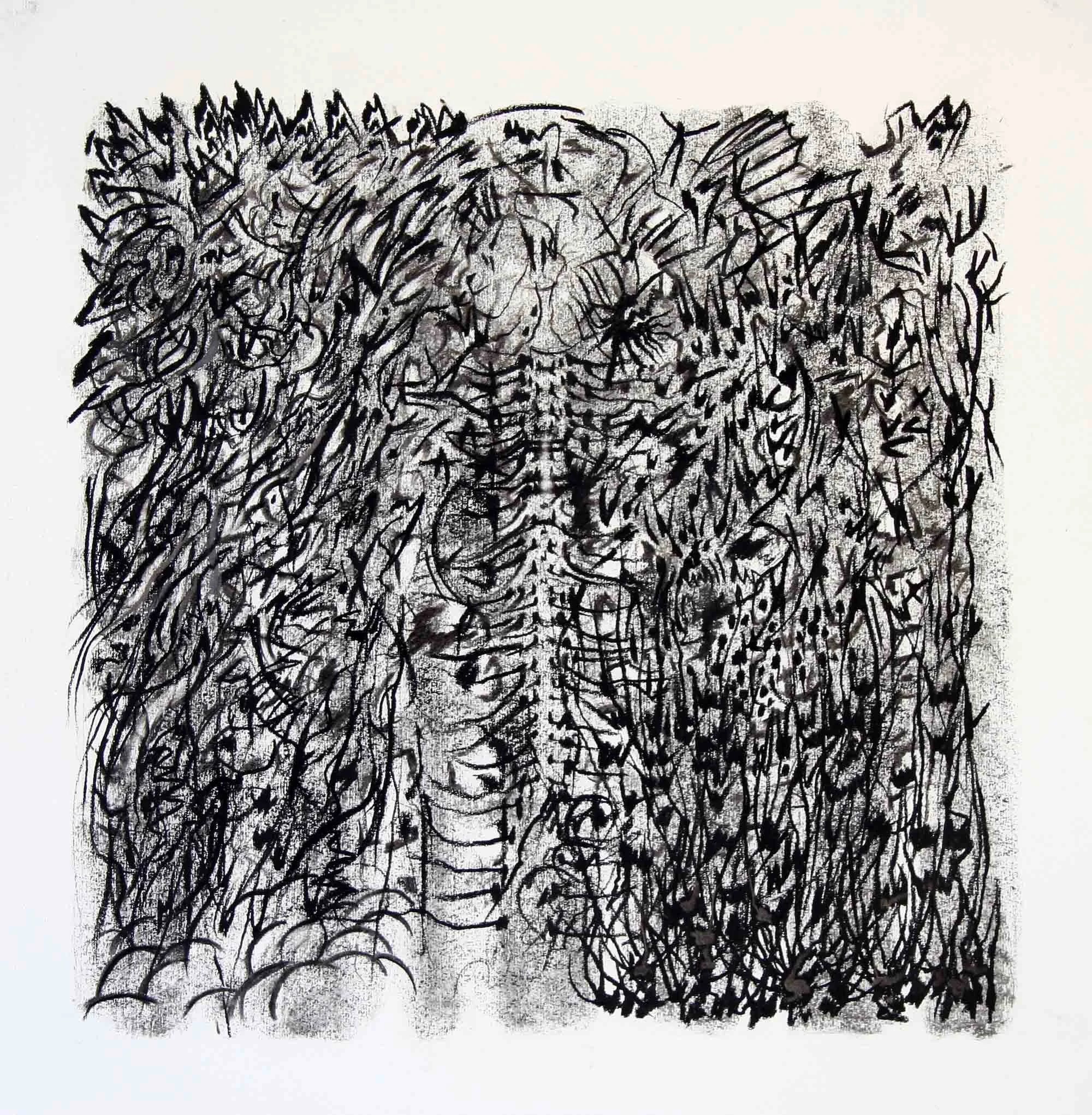 Kakamega Forest (4)  Charcoal and graphite  69 x 72cm