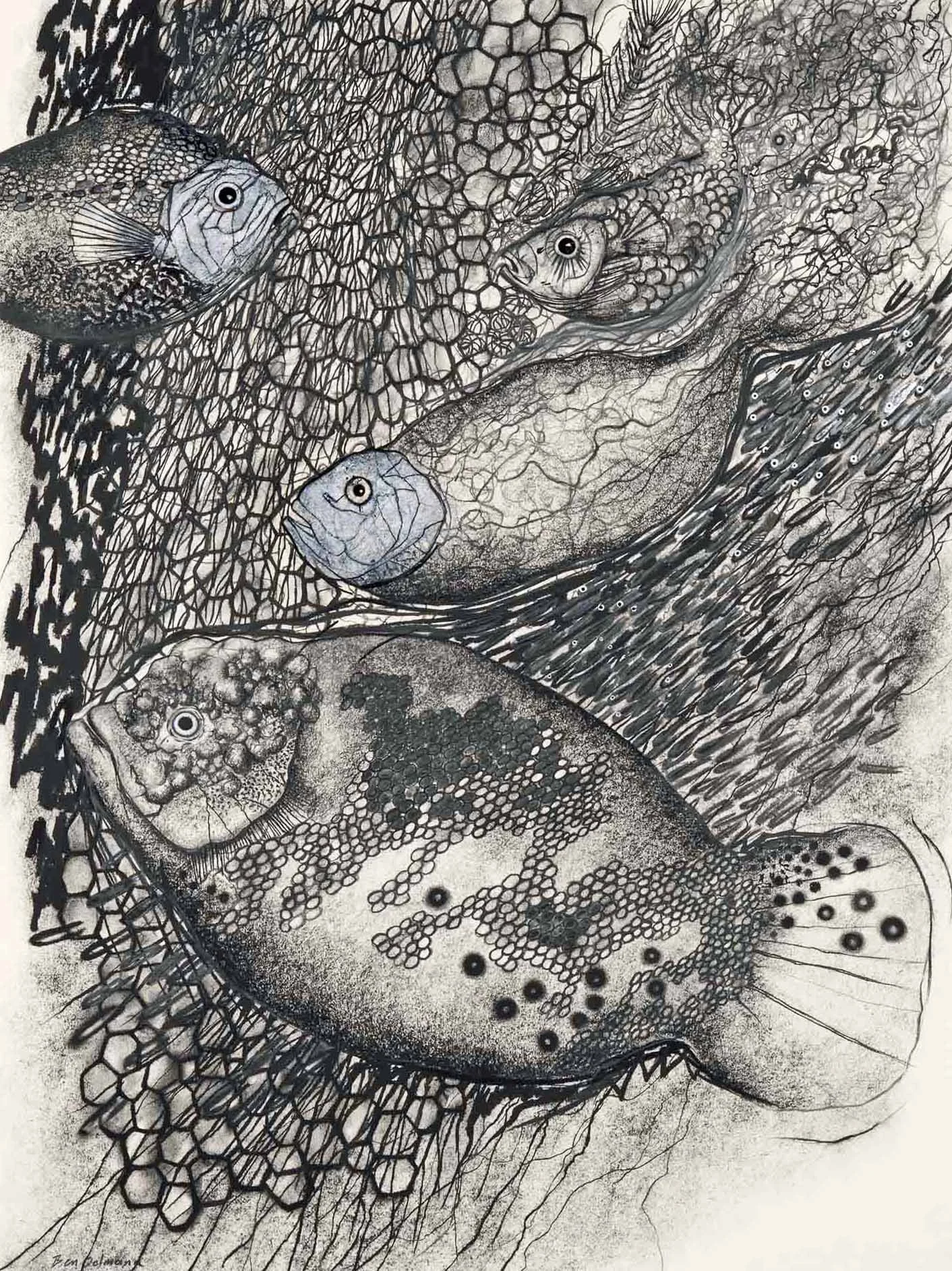Rio Negro  Charcoal and graphite  104 x 83cm