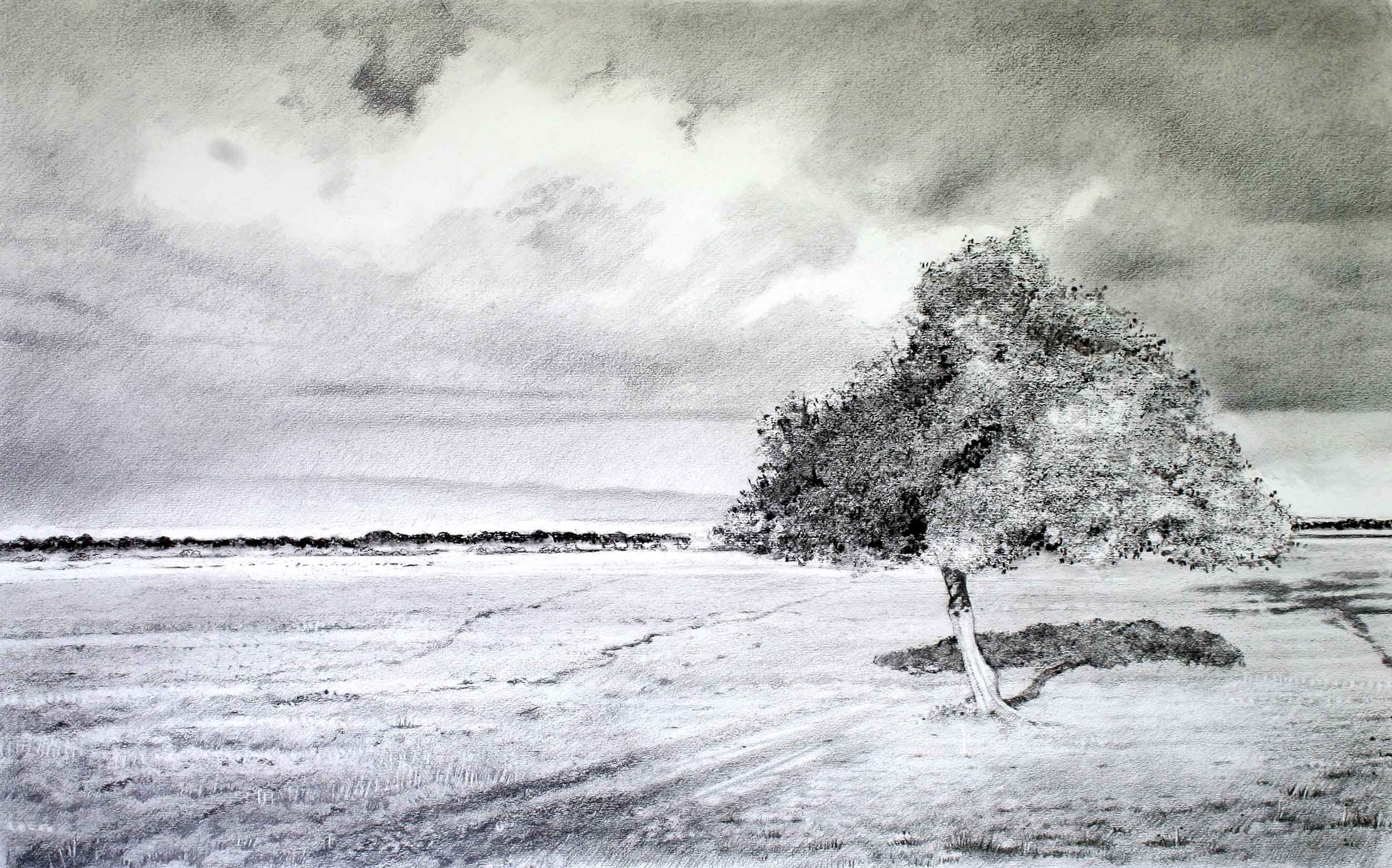 Acacia with rain clouds, Nakuru. Charcoal and graphite 92 x 80cm (framed)