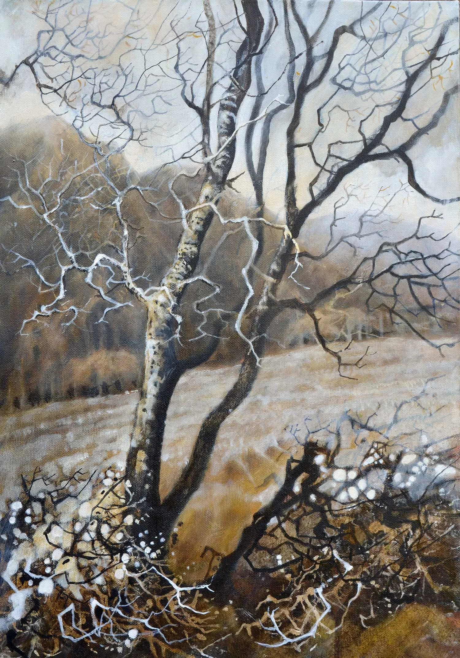 Winter trees, Dartmoor. 59 x 42cm  Oil on canvas