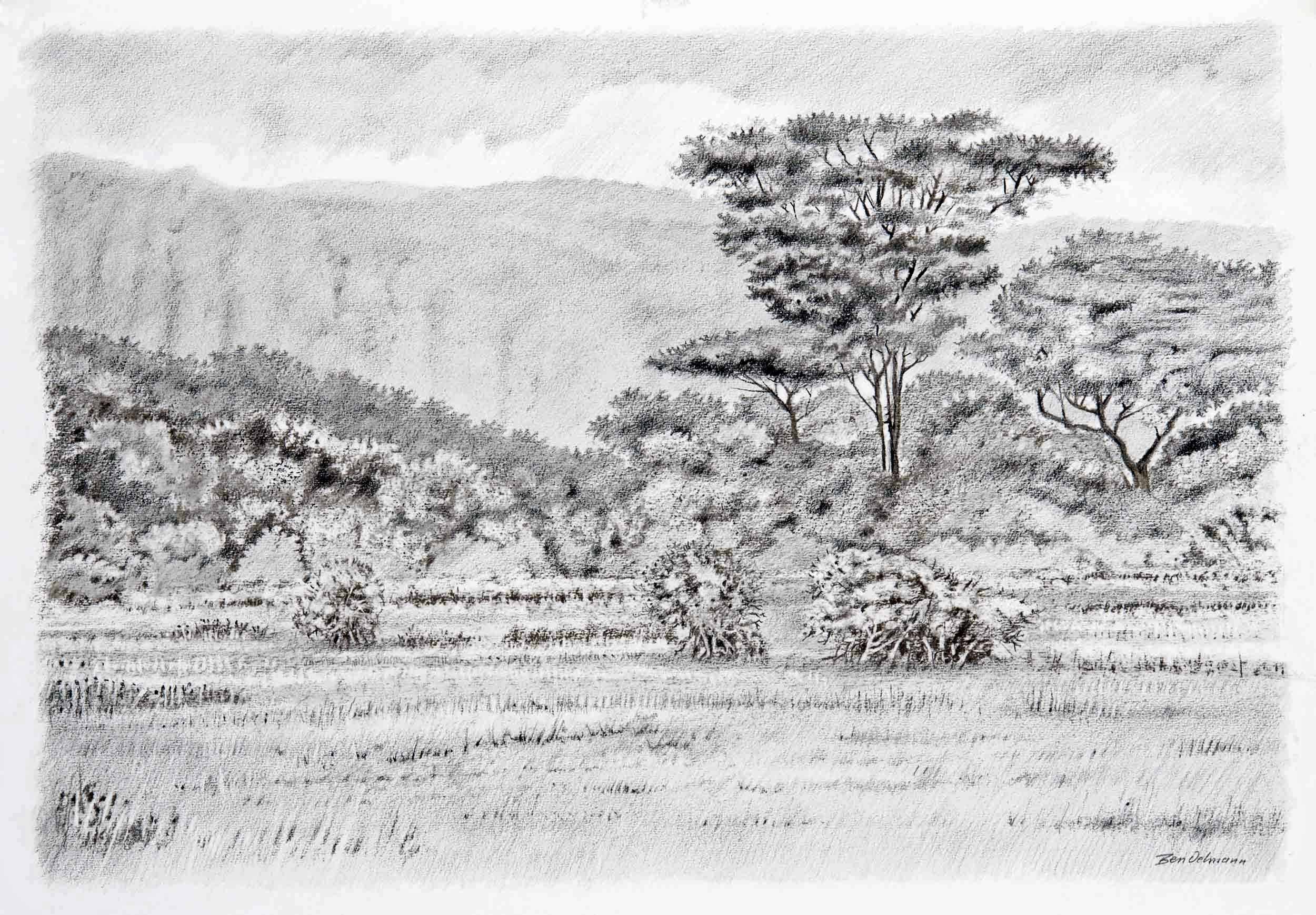 Hell's Gate Naivasha Charcoal and graphite  86 x 690 