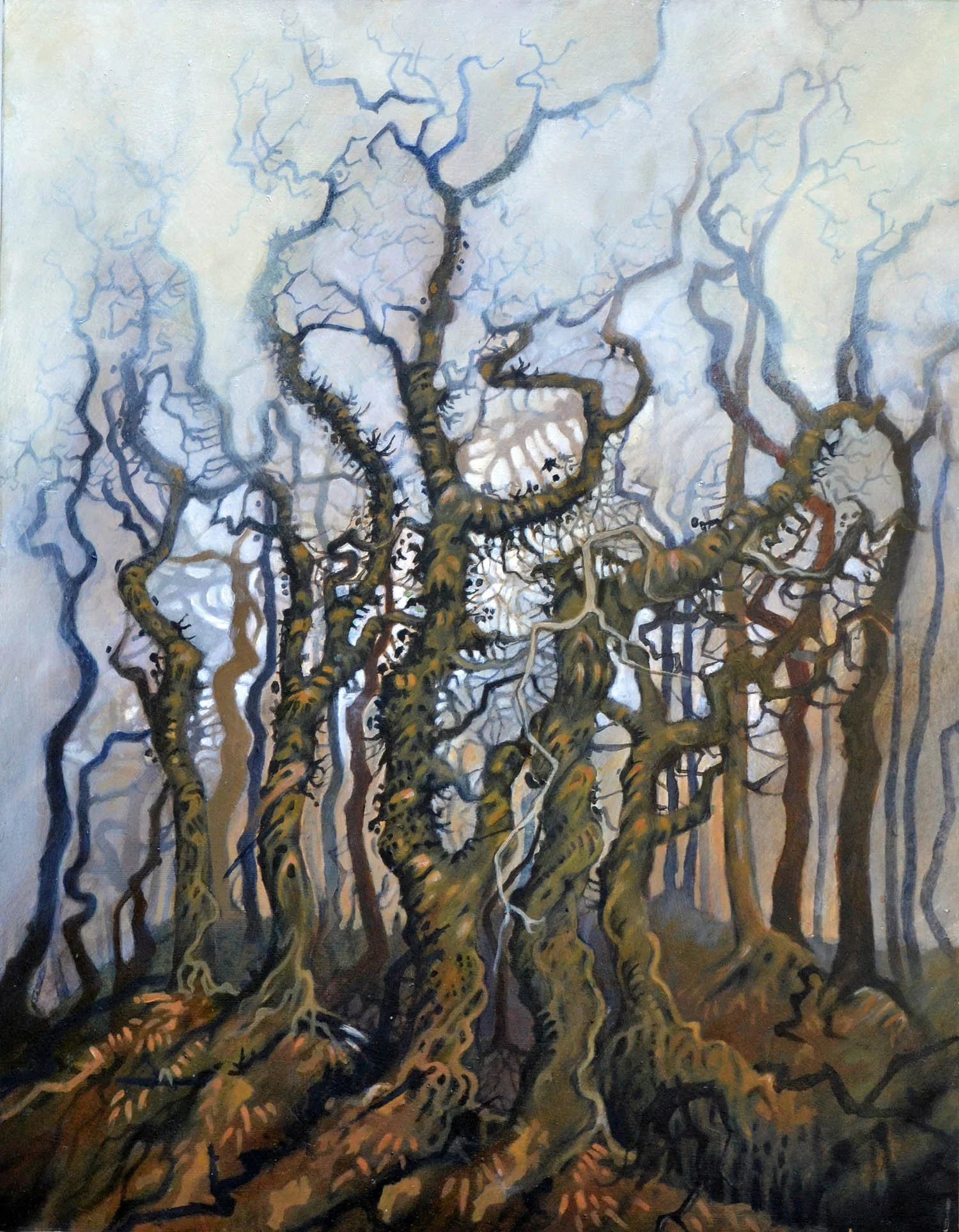 Five twisted oaks Dartmoor. 54 x 70cm. Oil on canvas